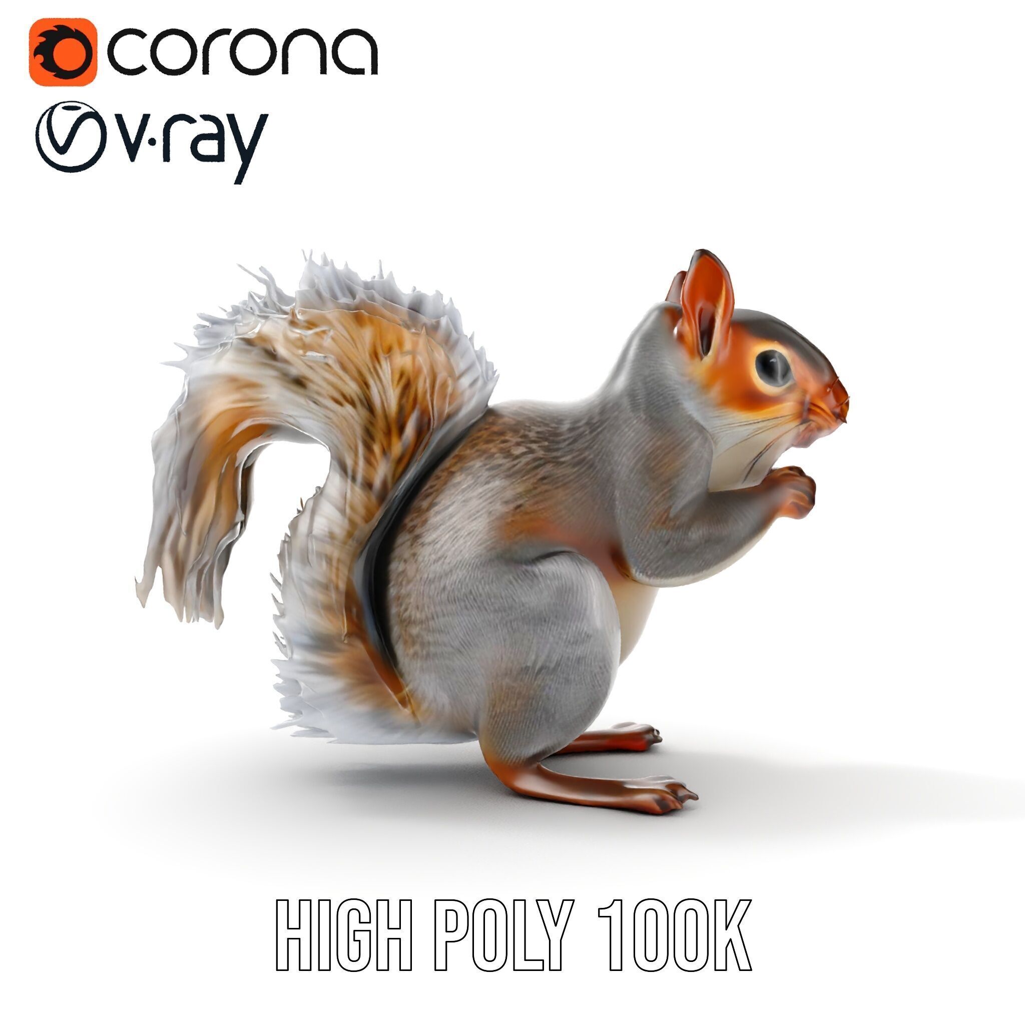 Squirrel Model Pack  Detailed D Animal Model Collection Low-poly 3D model_30