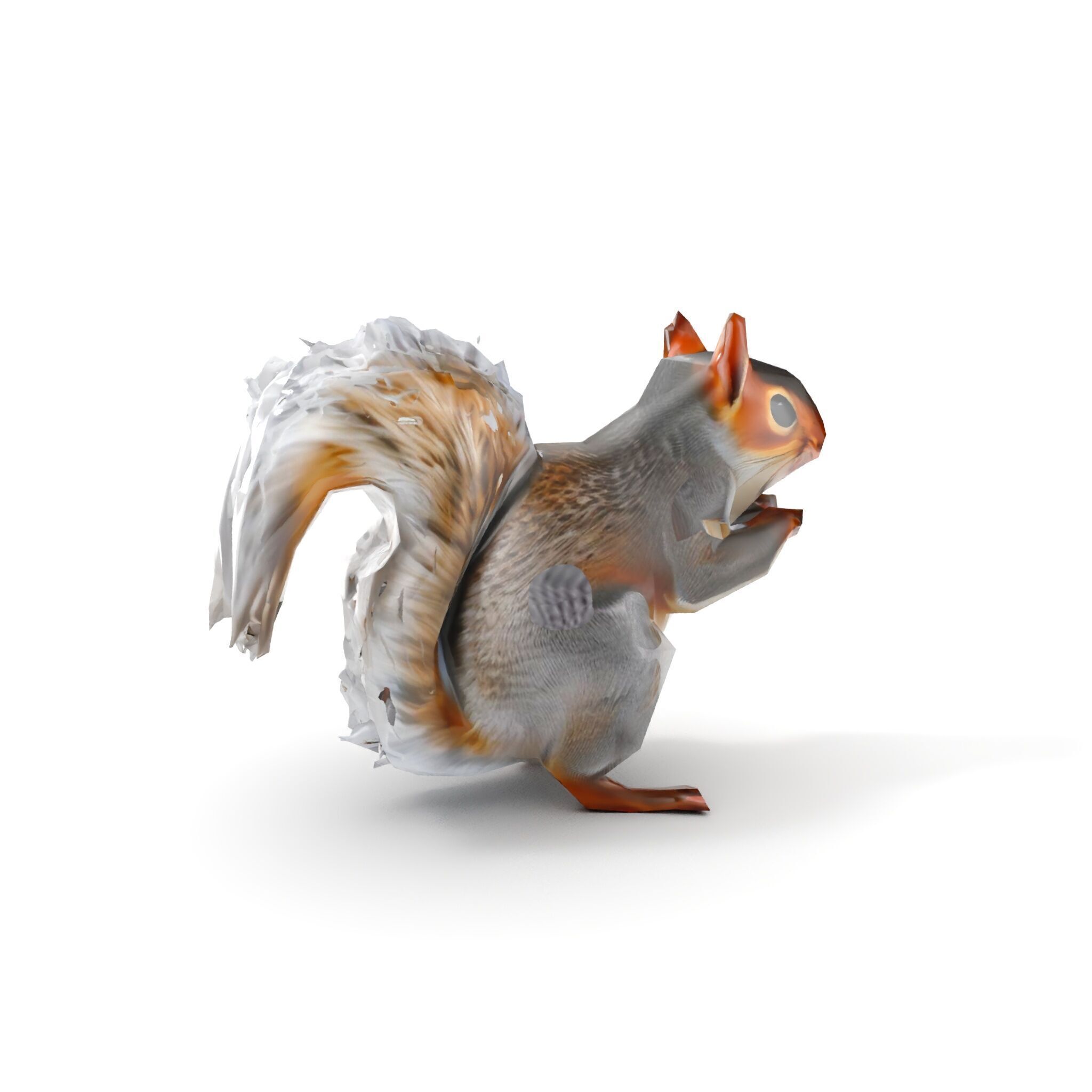 Squirrel Model Pack  Detailed D Animal Model Collection Low-poly 3D model_7
