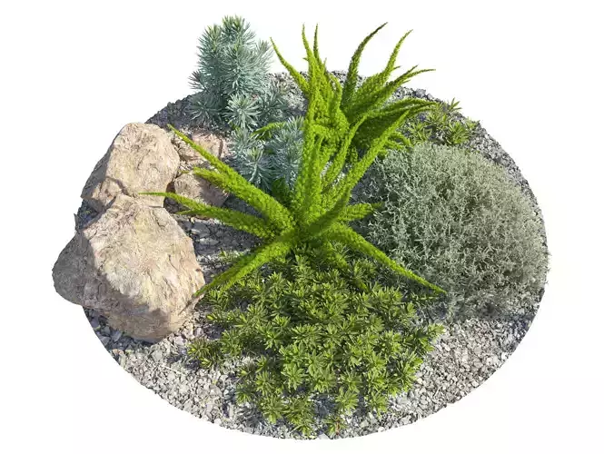 Garden plants 3D model