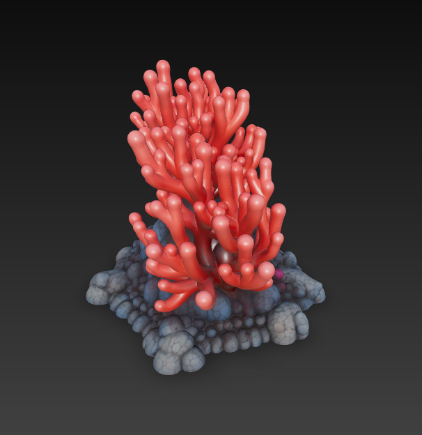 Reef Coral Realistic 3D Model Basic - Low Poly Realistic Low-poly 3D model_1