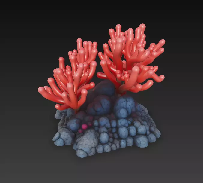 Reef Coral Realistic 3D Model Basic - Low Poly Realistic Low-poly 3D model_0