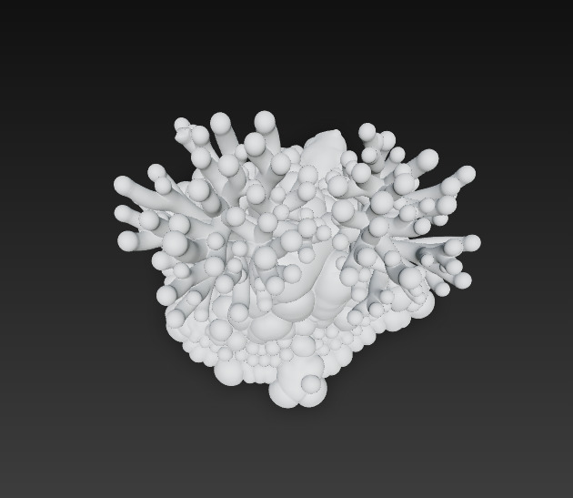 Reef Coral Realistic 3D Model Basic - Low Poly Realistic Low-poly 3D model_11