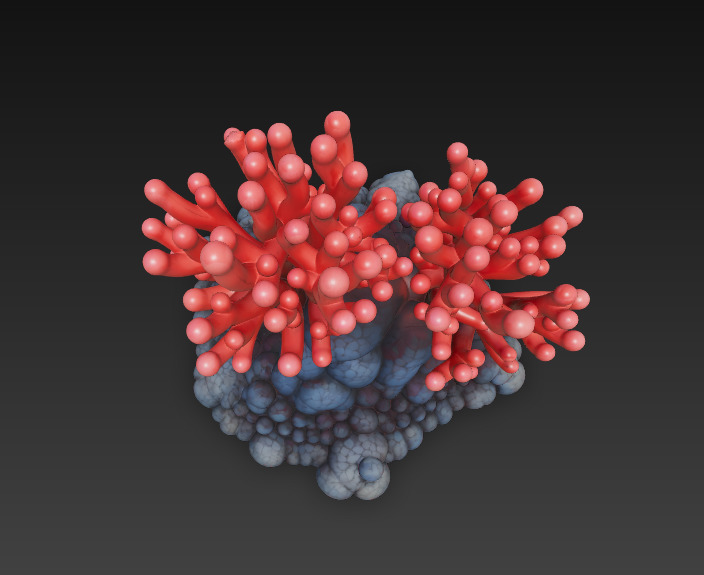 Reef Coral Realistic 3D Model Basic - Low Poly Realistic Low-poly 3D model_5