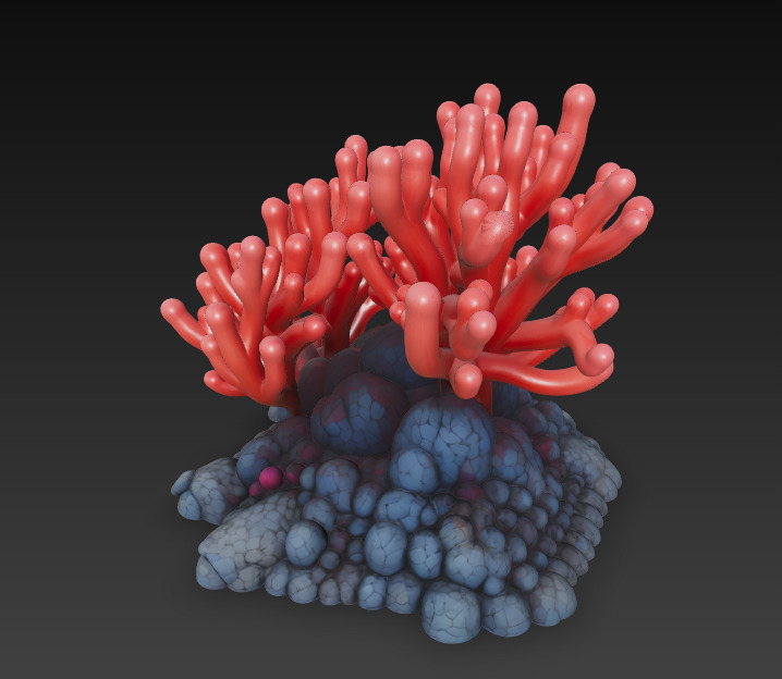 Reef Coral Realistic 3D Model Basic - Low Poly Realistic Low-poly 3D model_6