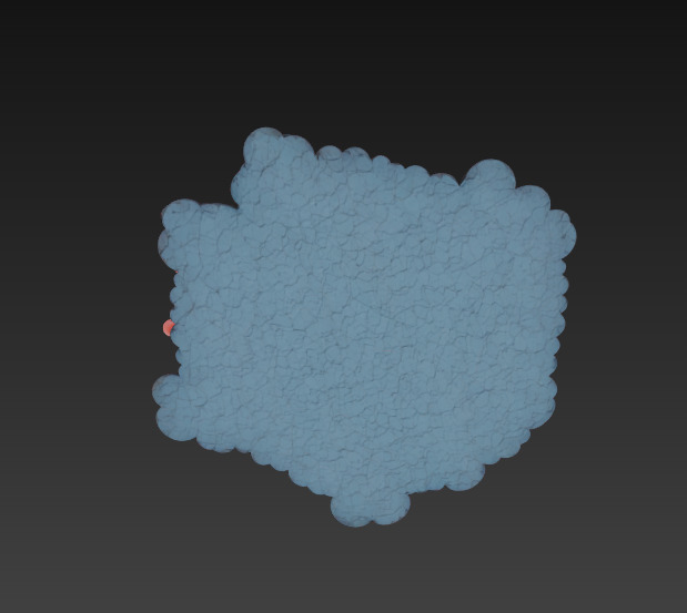 Reef Coral Realistic 3D Model Basic - Low Poly Realistic Low-poly 3D model_4