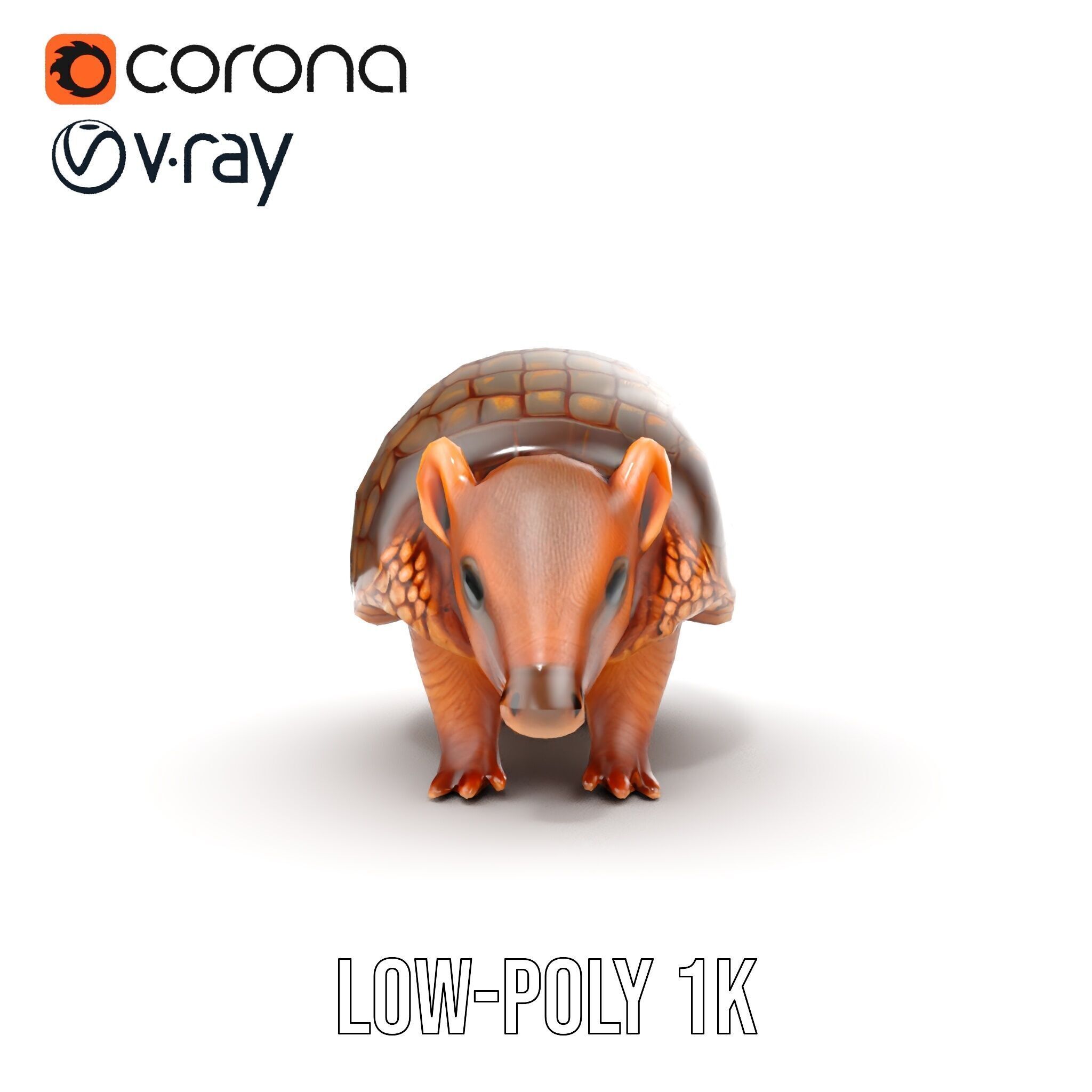Armadillo Model Pack  High Detail Textured D Model Low-poly 3D model_23