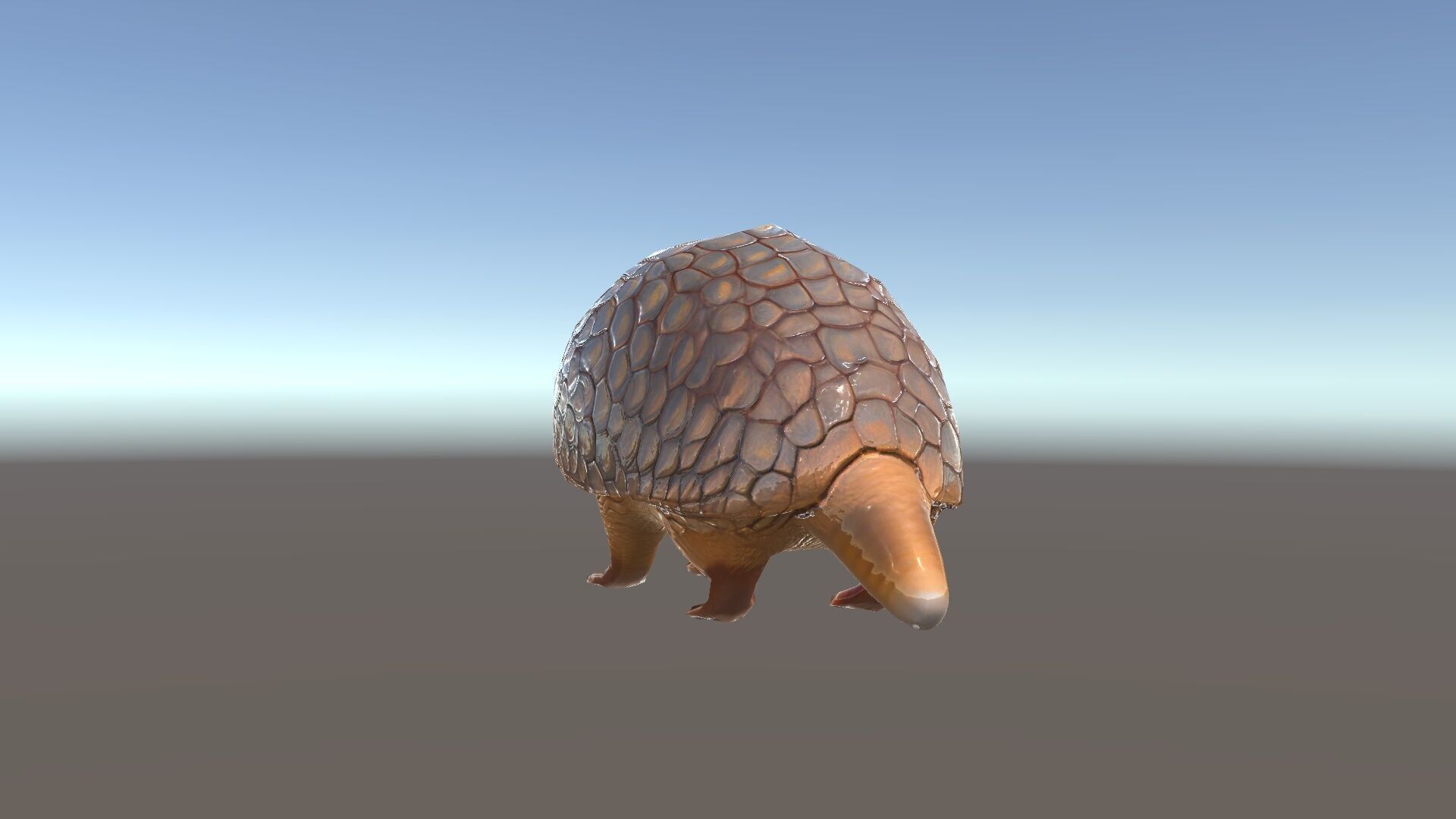Armadillo Model Pack  High Detail Textured D Model Low-poly 3D model_34