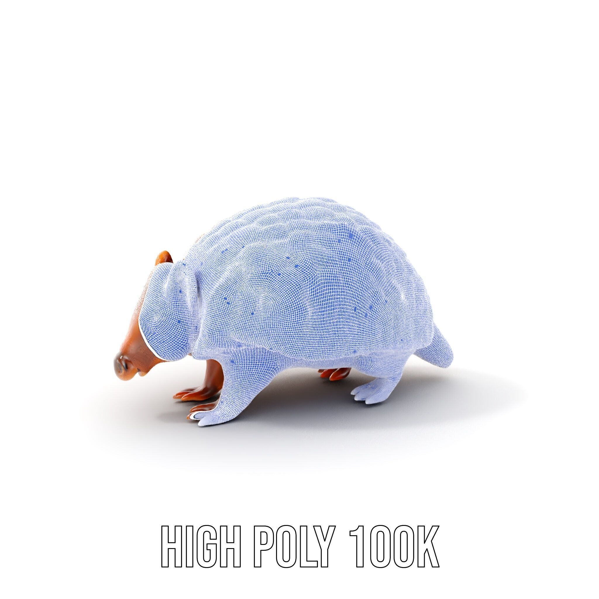 Armadillo Model Pack  High Detail Textured D Model Low-poly 3D model_4