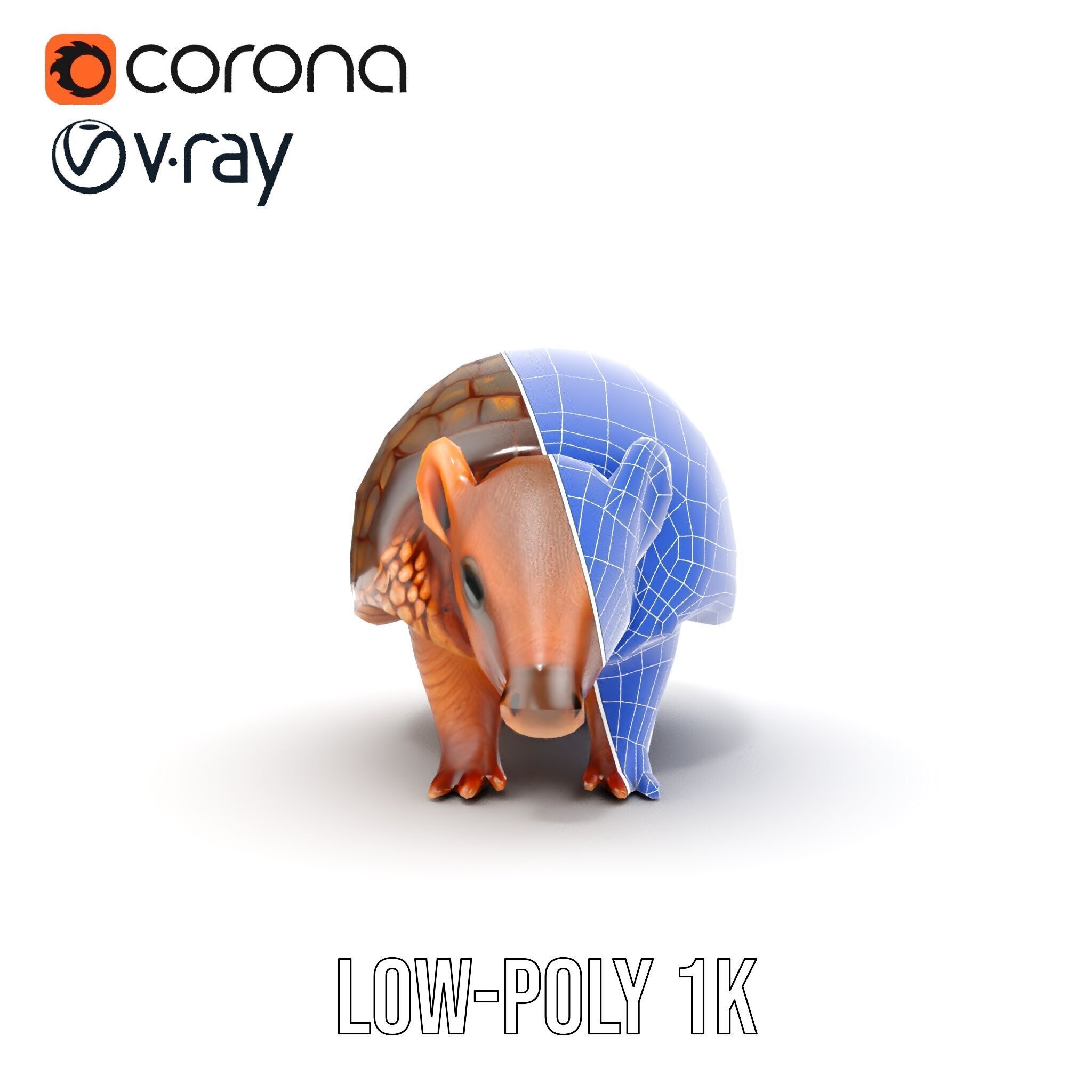 Armadillo Model Pack  High Detail Textured D Model Low-poly 3D model_18