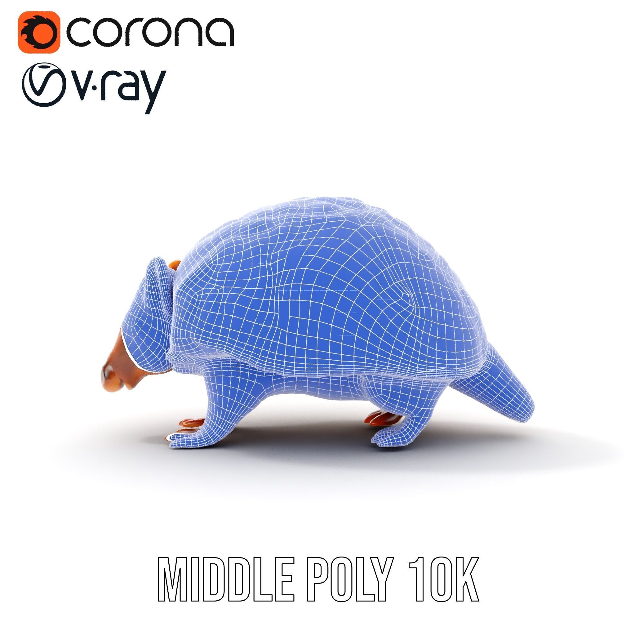 Armadillo Model Pack  High Detail Textured D Model Low-poly 3D model_25