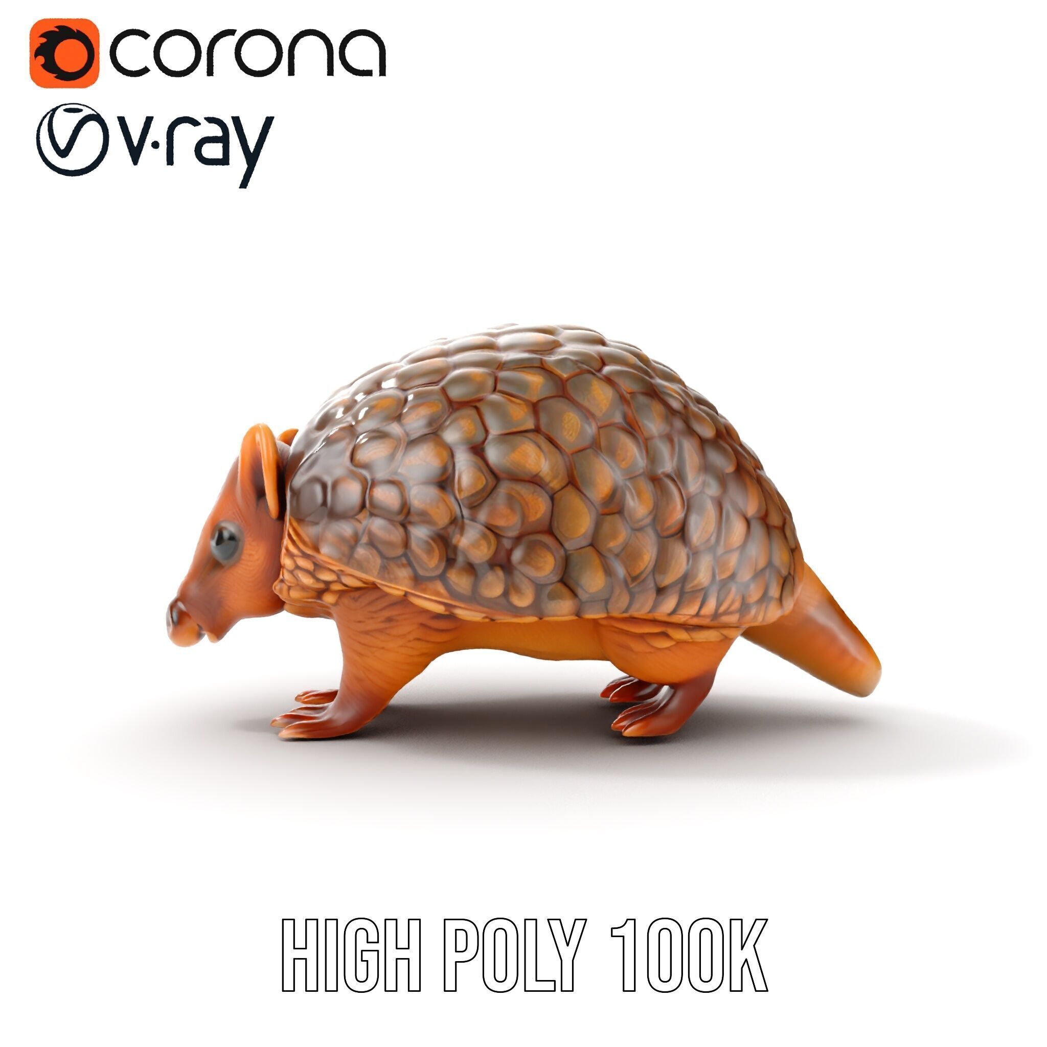 Armadillo Model Pack  High Detail Textured D Model Low-poly 3D model_32