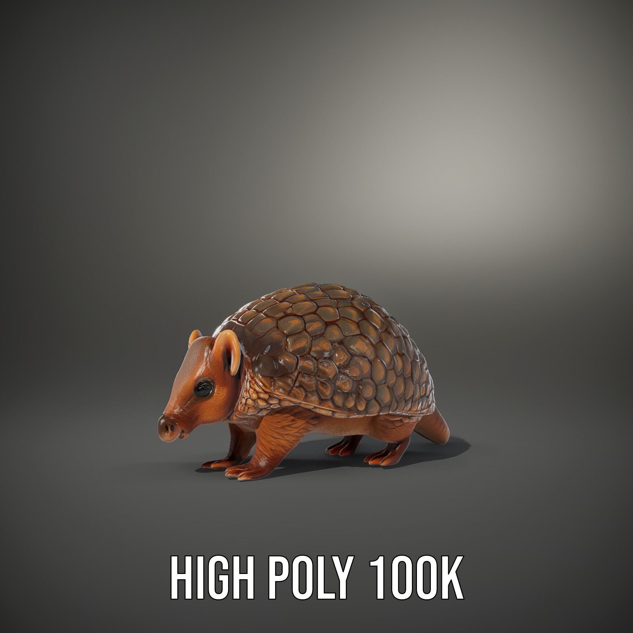 Armadillo Model Pack  High Detail Textured D Model Low-poly 3D model_11