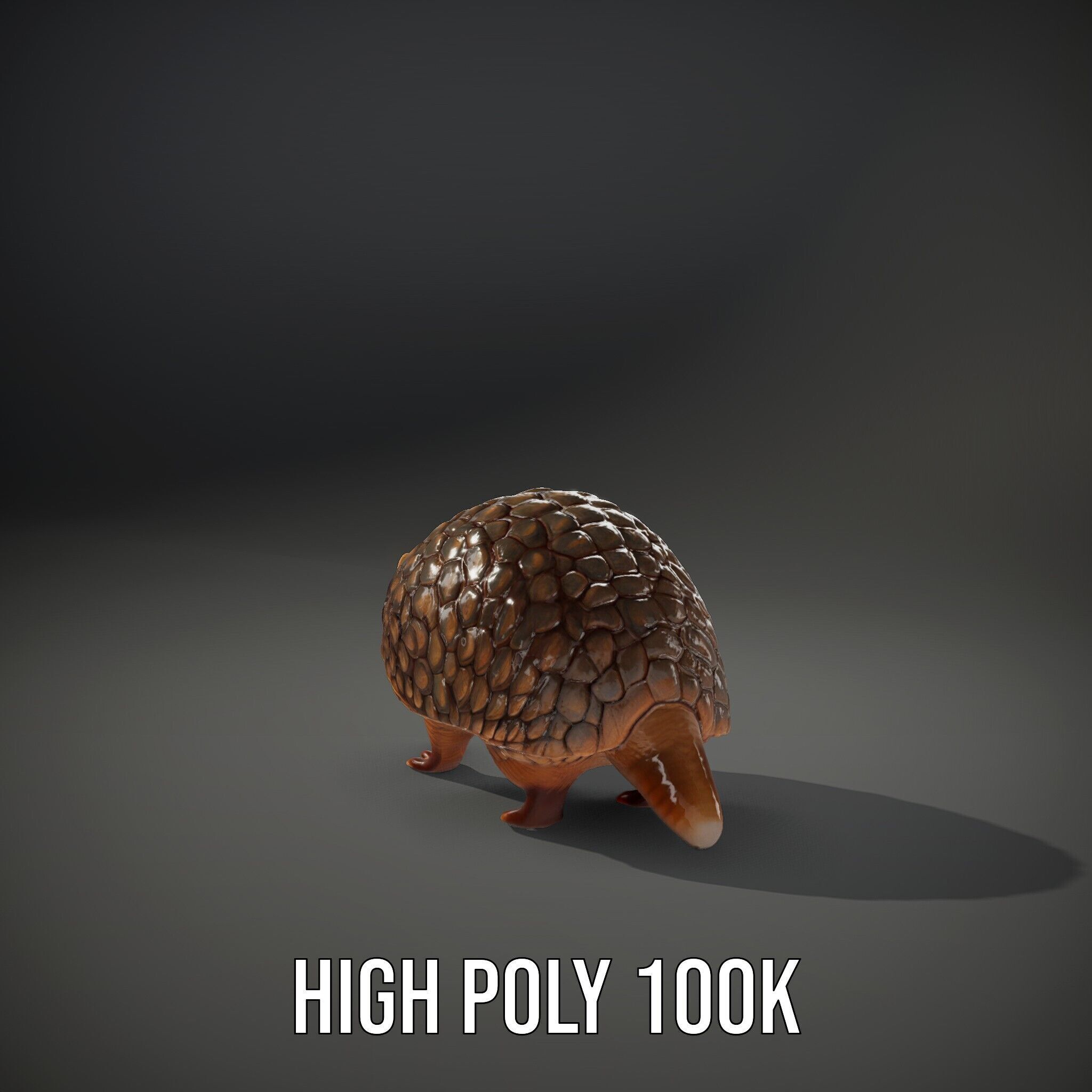 Armadillo Model Pack  High Detail Textured D Model Low-poly 3D model_8