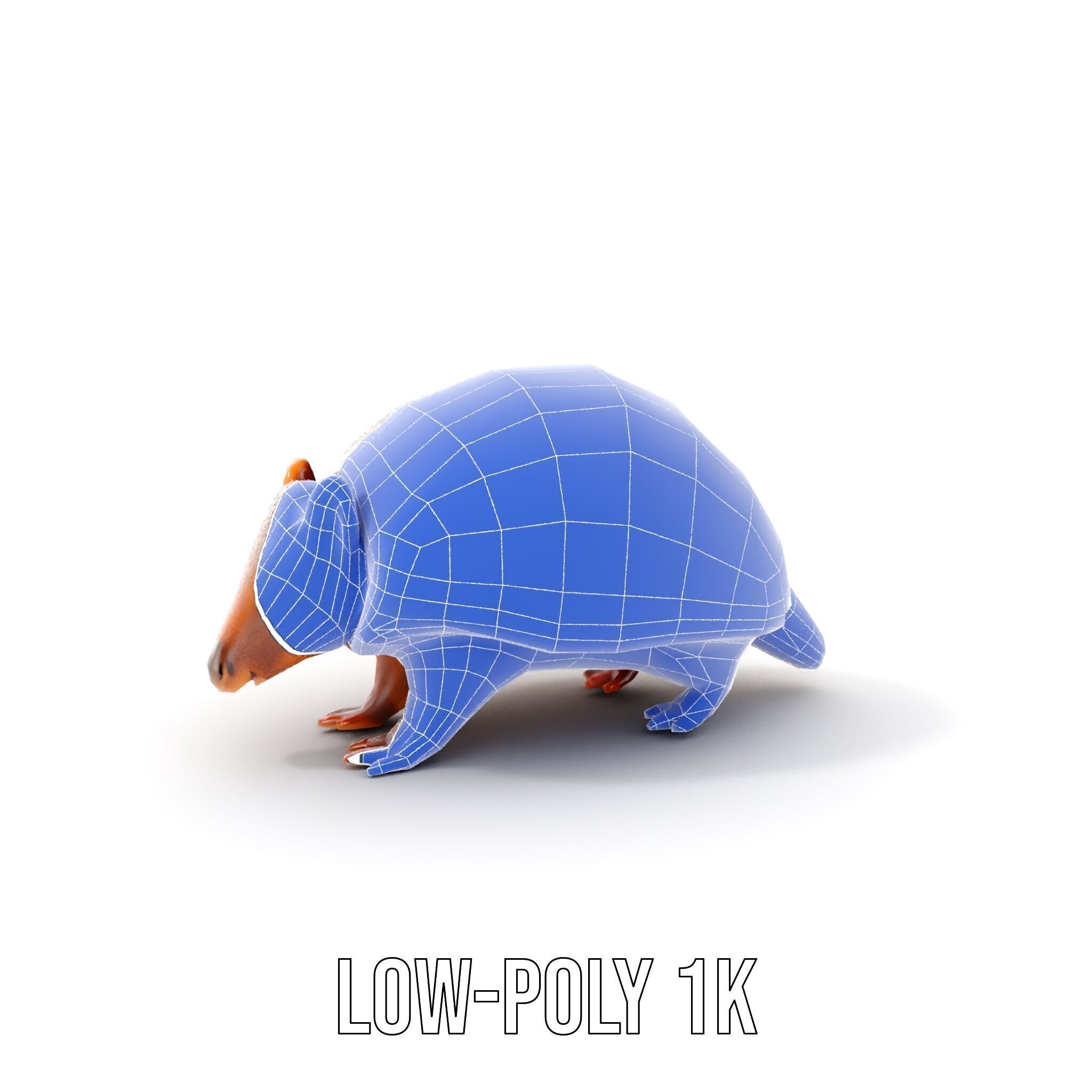 Armadillo Model Pack  High Detail Textured D Model Low-poly 3D model_16
