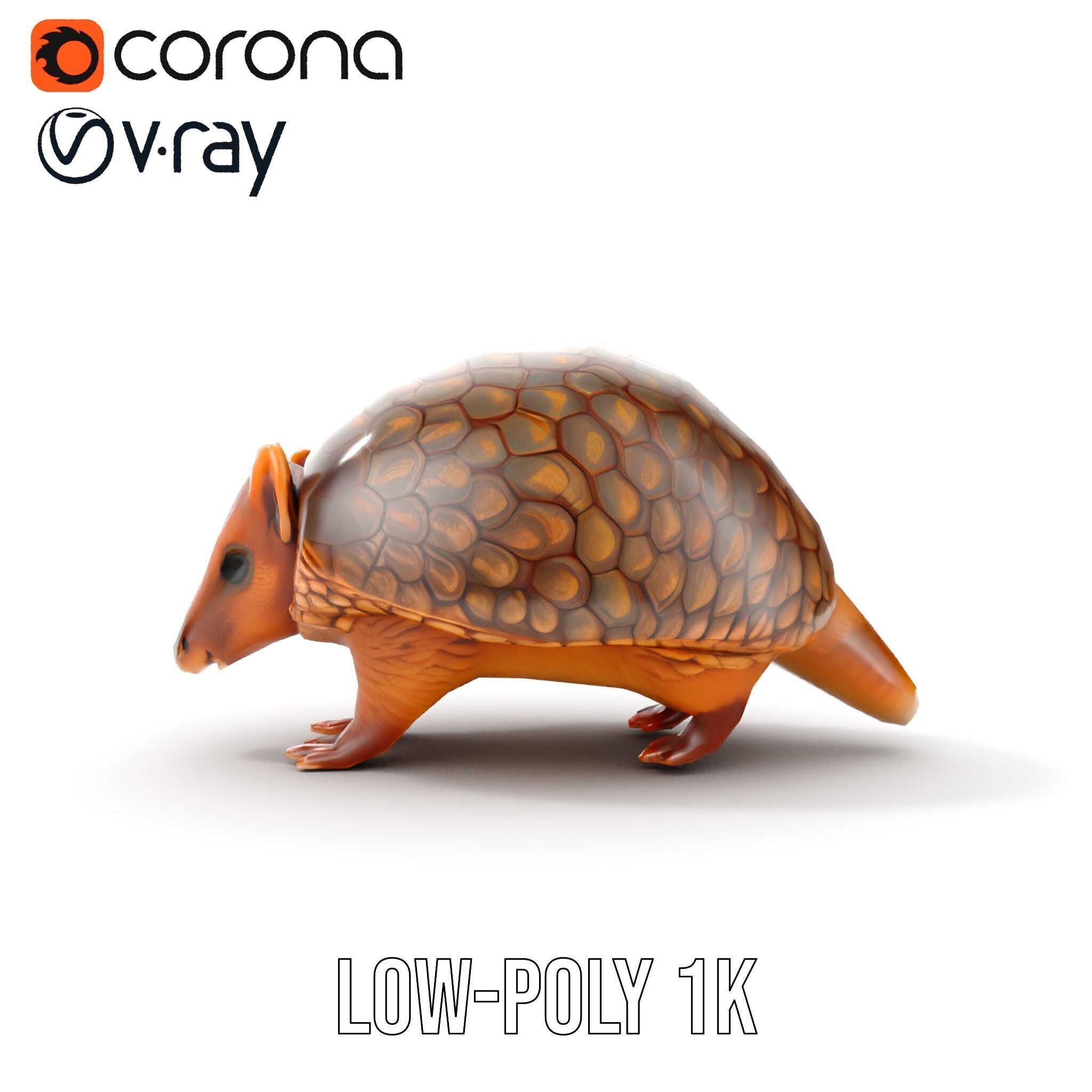 Armadillo Model Pack  High Detail Textured D Model Low-poly 3D model_26