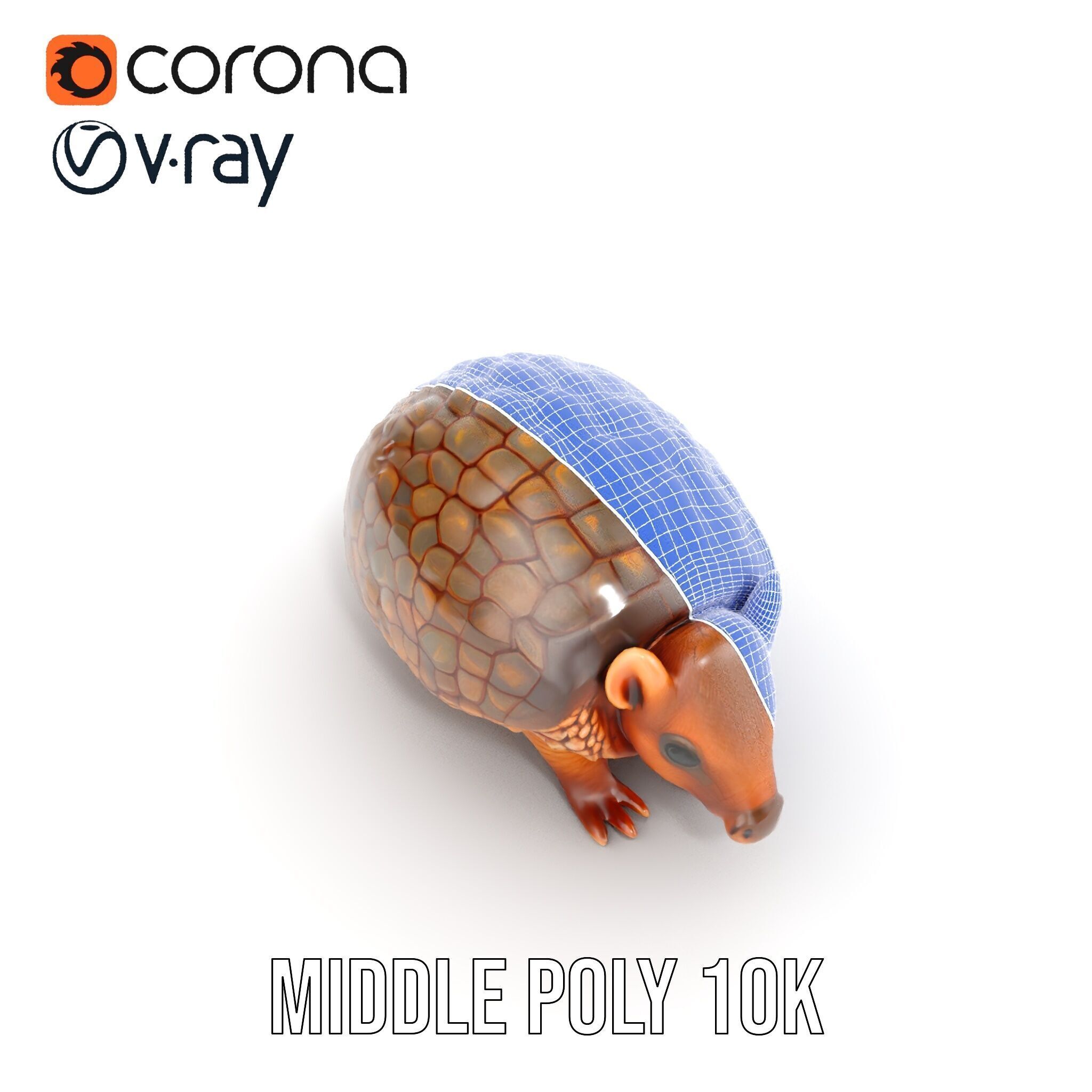 Armadillo Model Pack  High Detail Textured D Model Low-poly 3D model_30