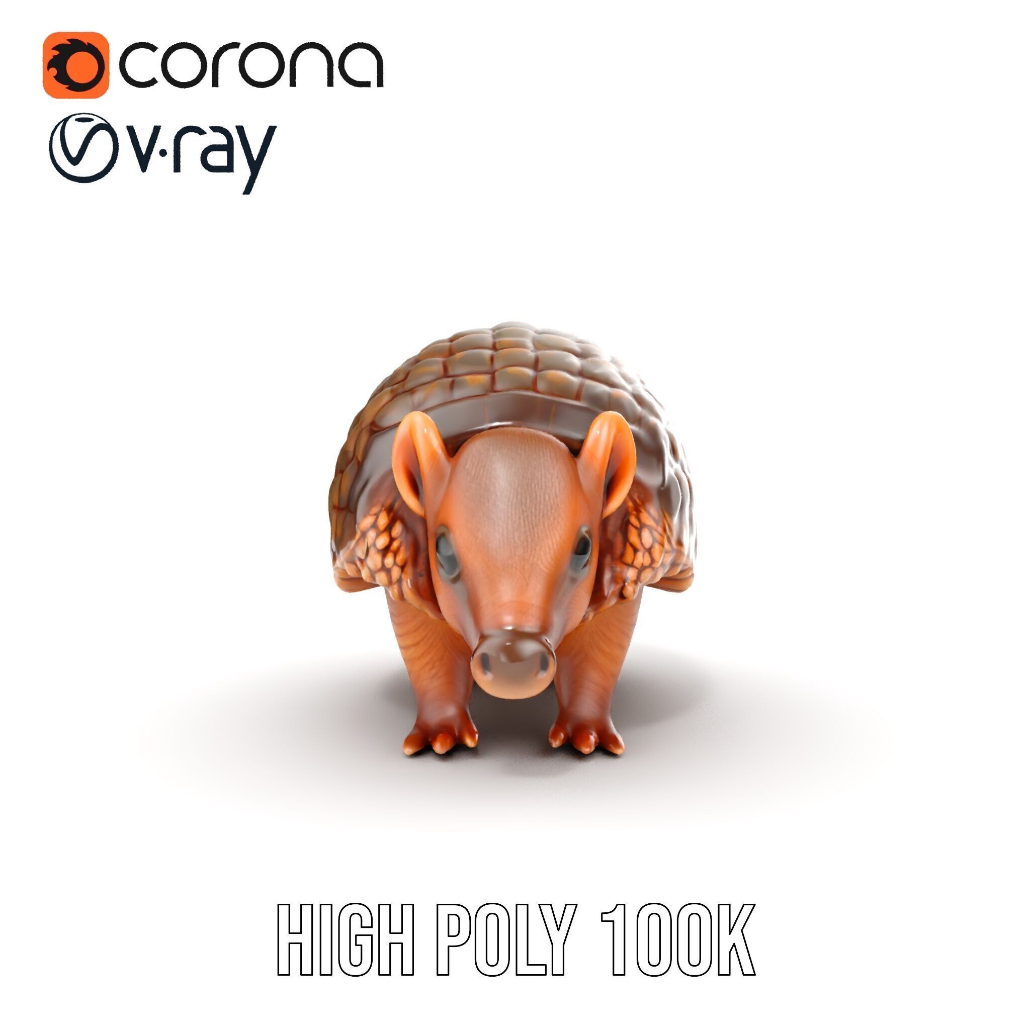 Armadillo Model Pack  High Detail Textured D Model Low-poly 3D model_29