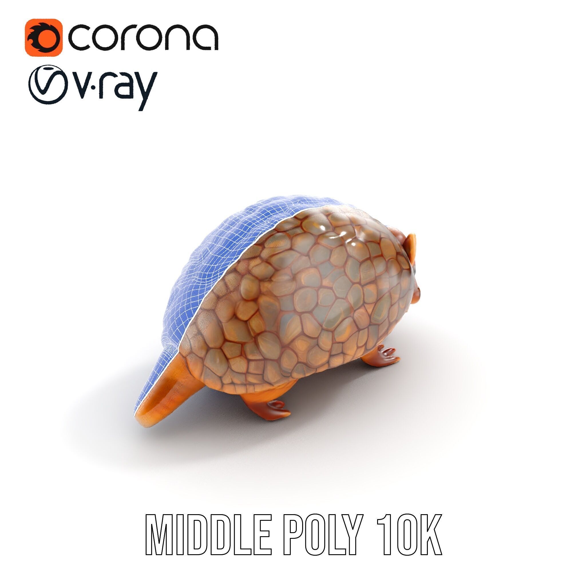Armadillo Model Pack  High Detail Textured D Model Low-poly 3D model_27