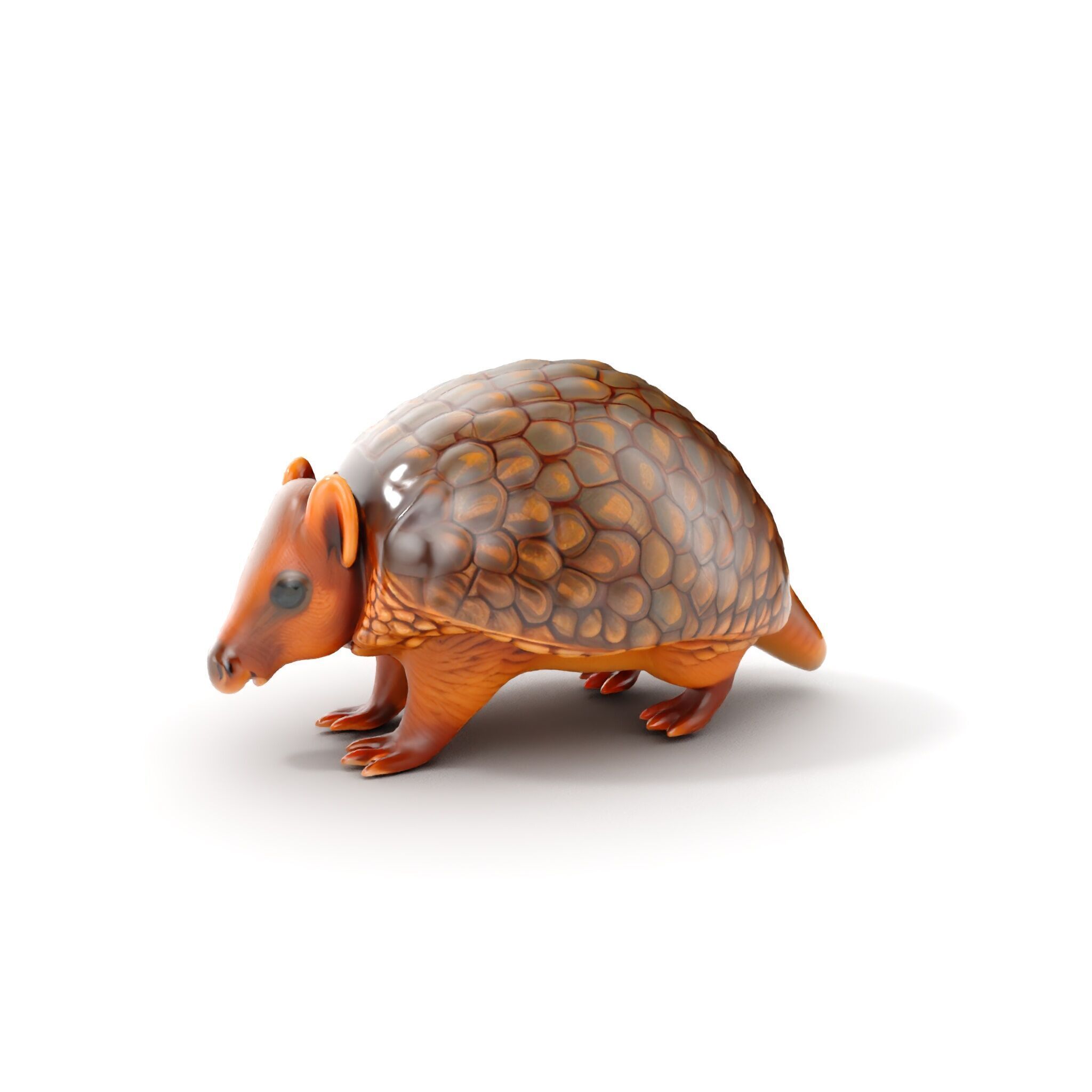 Armadillo Model Pack  High Detail Textured D Model Low-poly 3D model_17