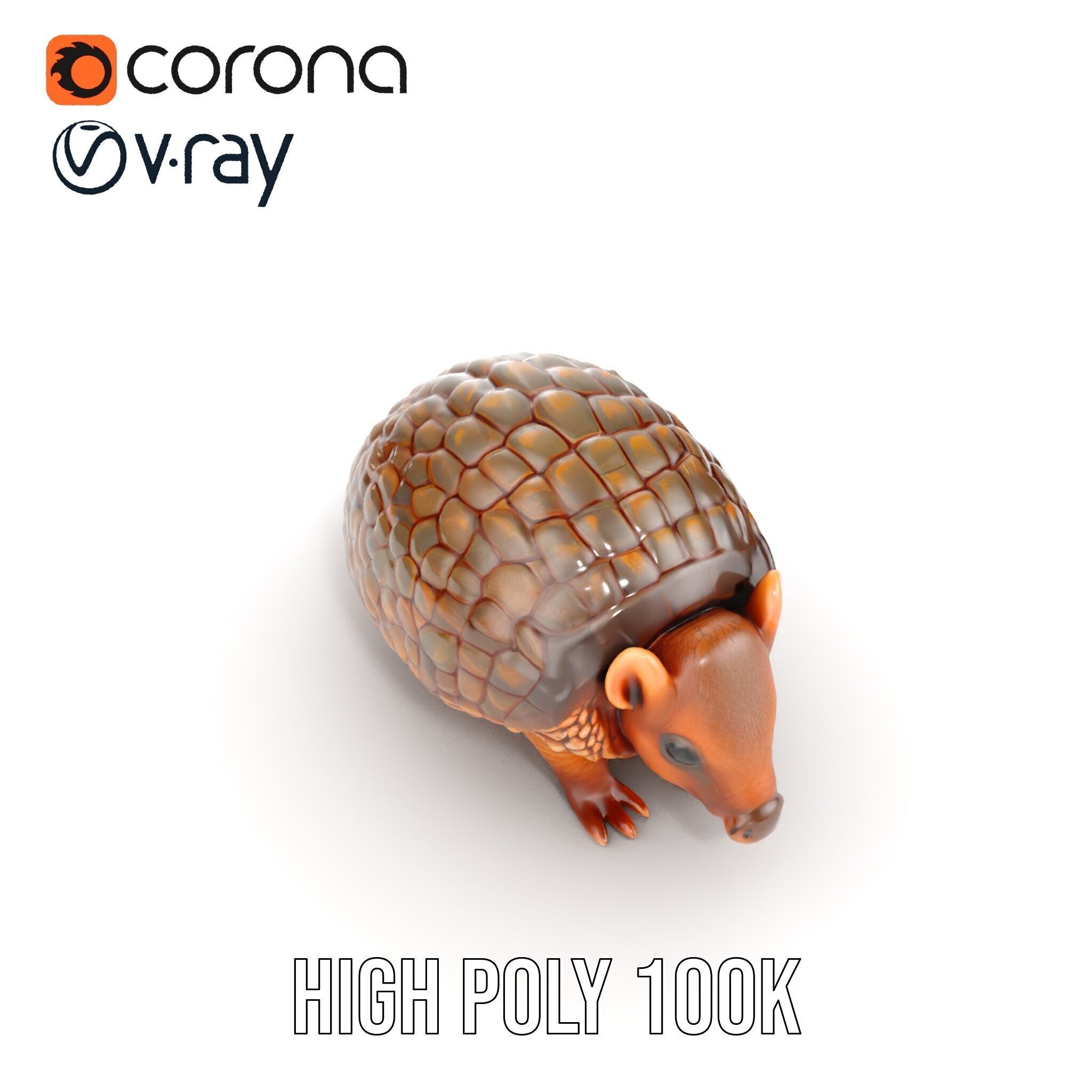 Armadillo Model Pack  High Detail Textured D Model Low-poly 3D model_21