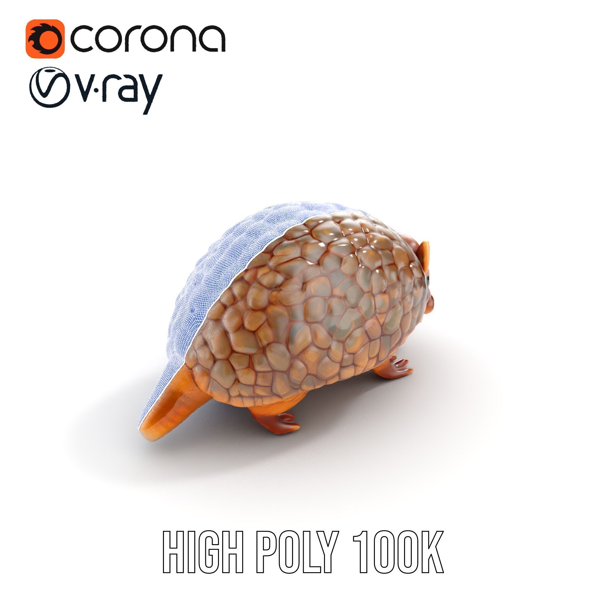 Armadillo Model Pack  High Detail Textured D Model Low-poly 3D model_35