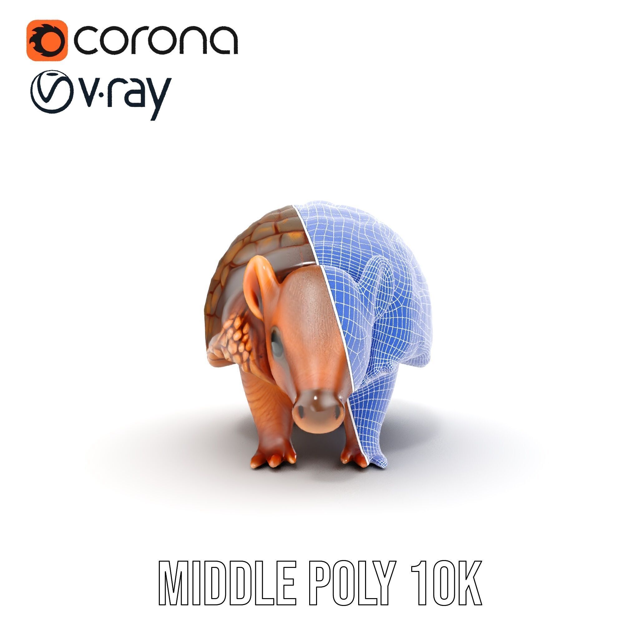 Armadillo Model Pack  High Detail Textured D Model Low-poly 3D model_22