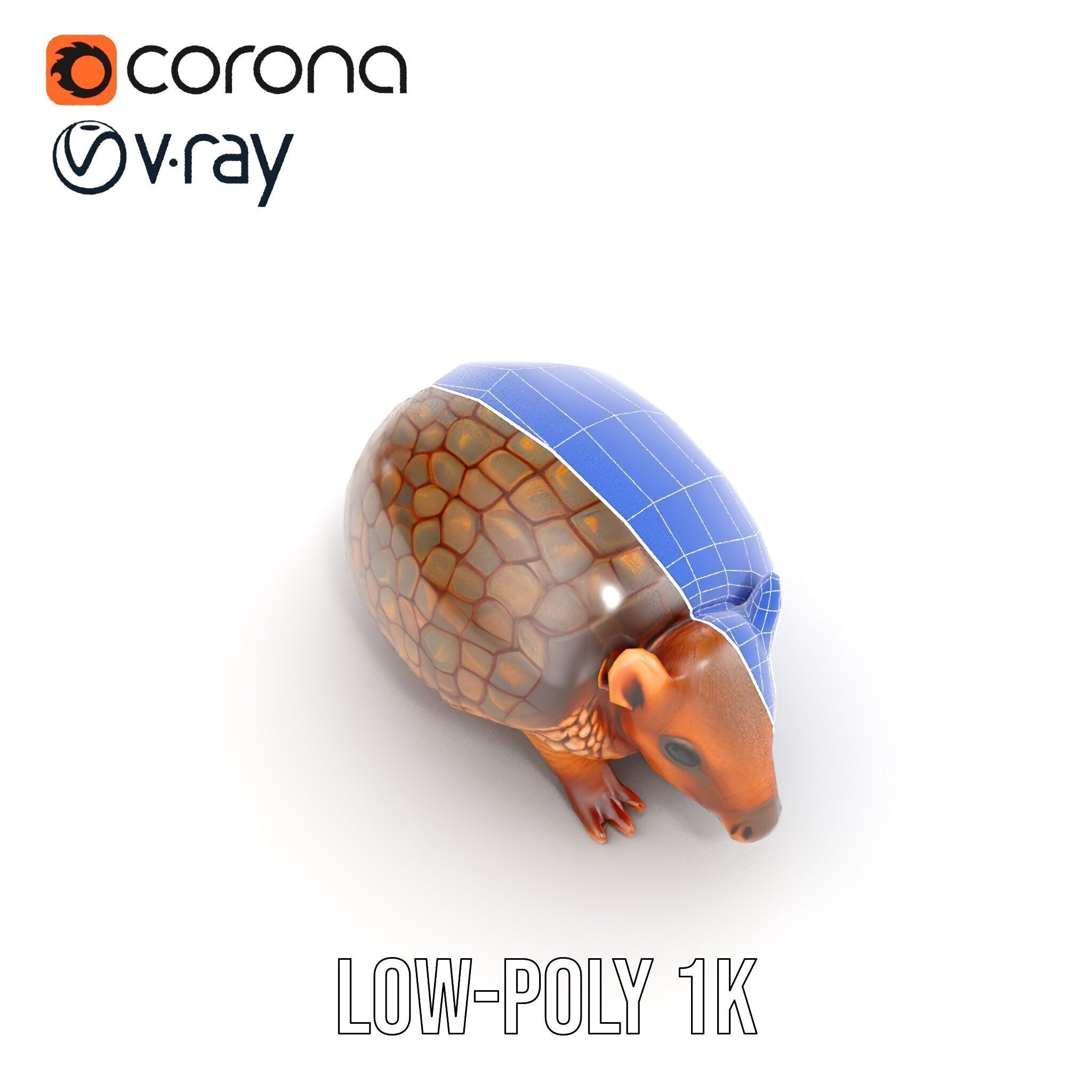 Armadillo Model Pack  High Detail Textured D Model Low-poly 3D model_28