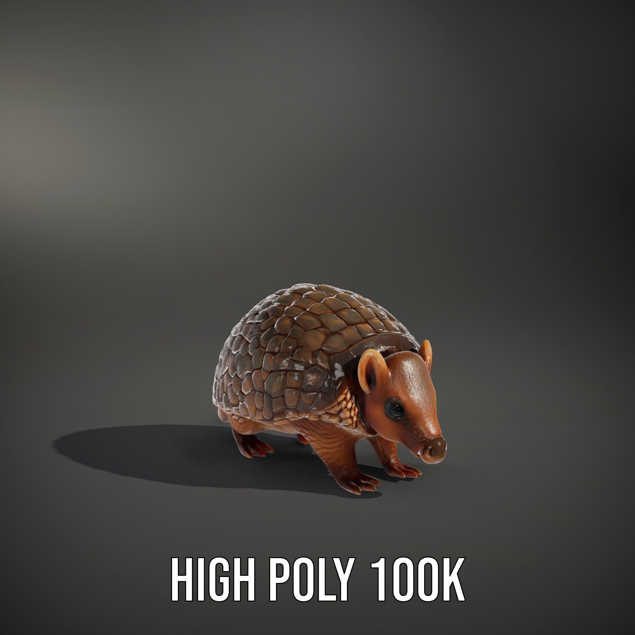 Armadillo Model Pack  High Detail Textured D Model Low-poly 3D model_14