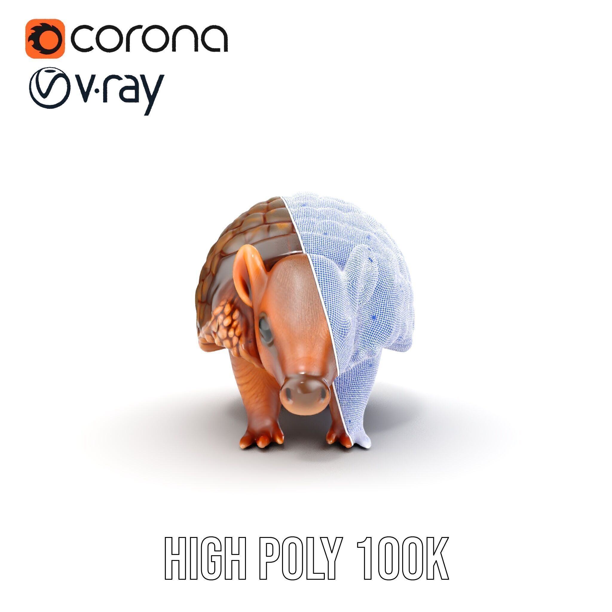 Armadillo Model Pack  High Detail Textured D Model Low-poly 3D model_38