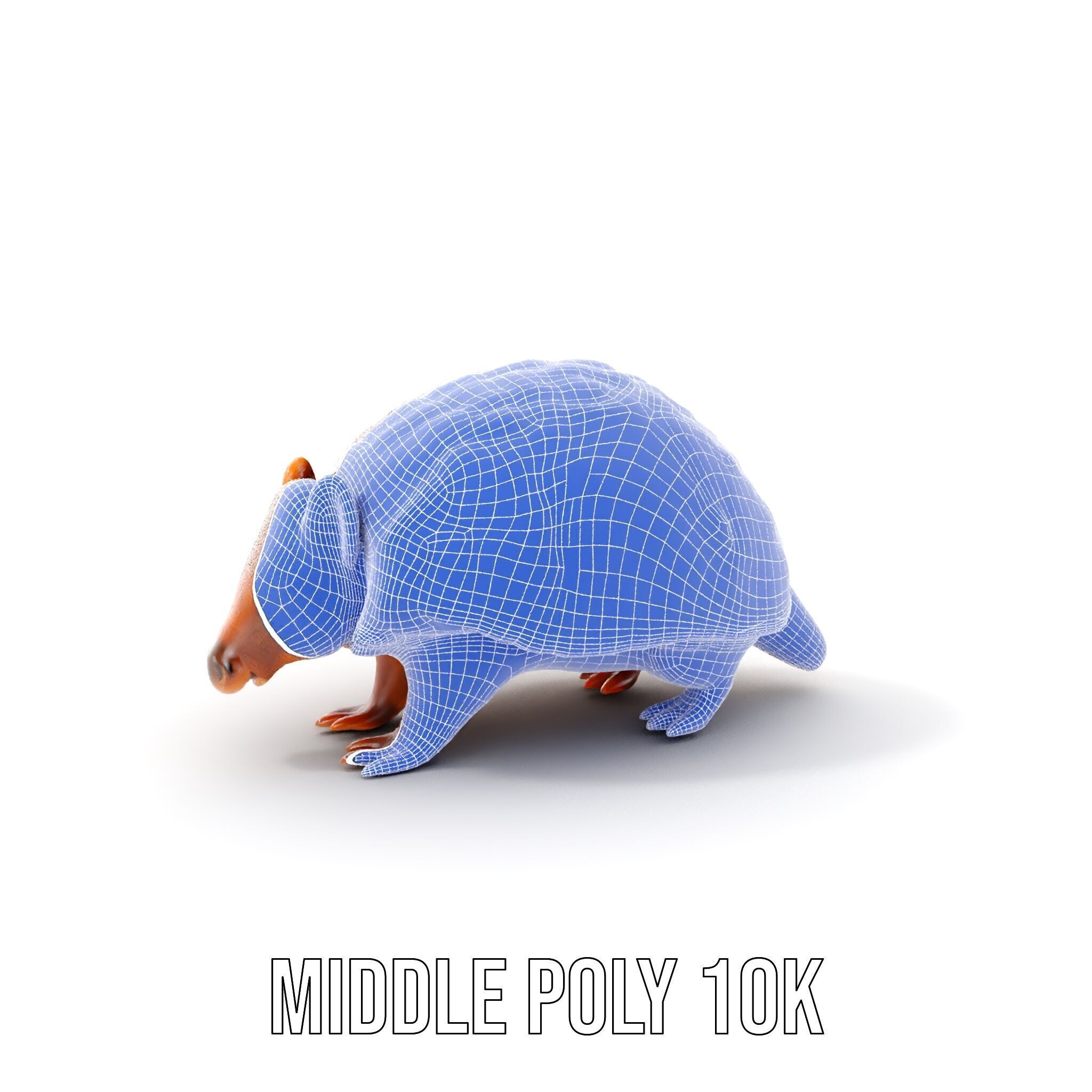 Armadillo Model Pack  High Detail Textured D Model Low-poly 3D model_12
