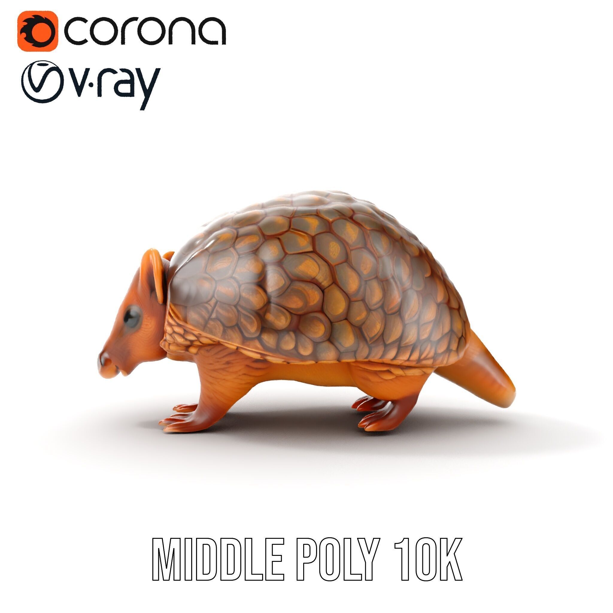 Armadillo Model Pack  High Detail Textured D Model Low-poly 3D model_19