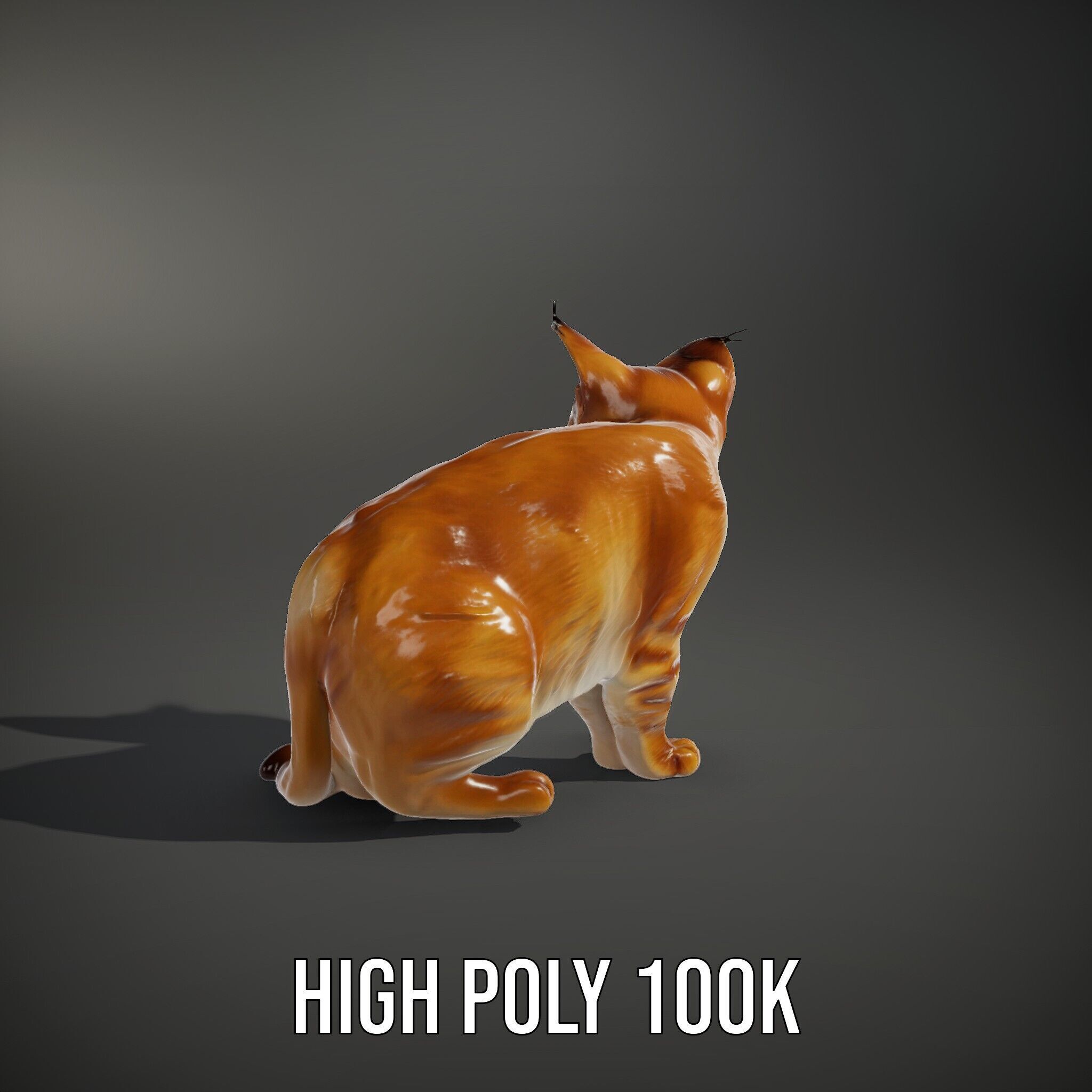Stylized Cat Model Pack Low-poly 3D model_12