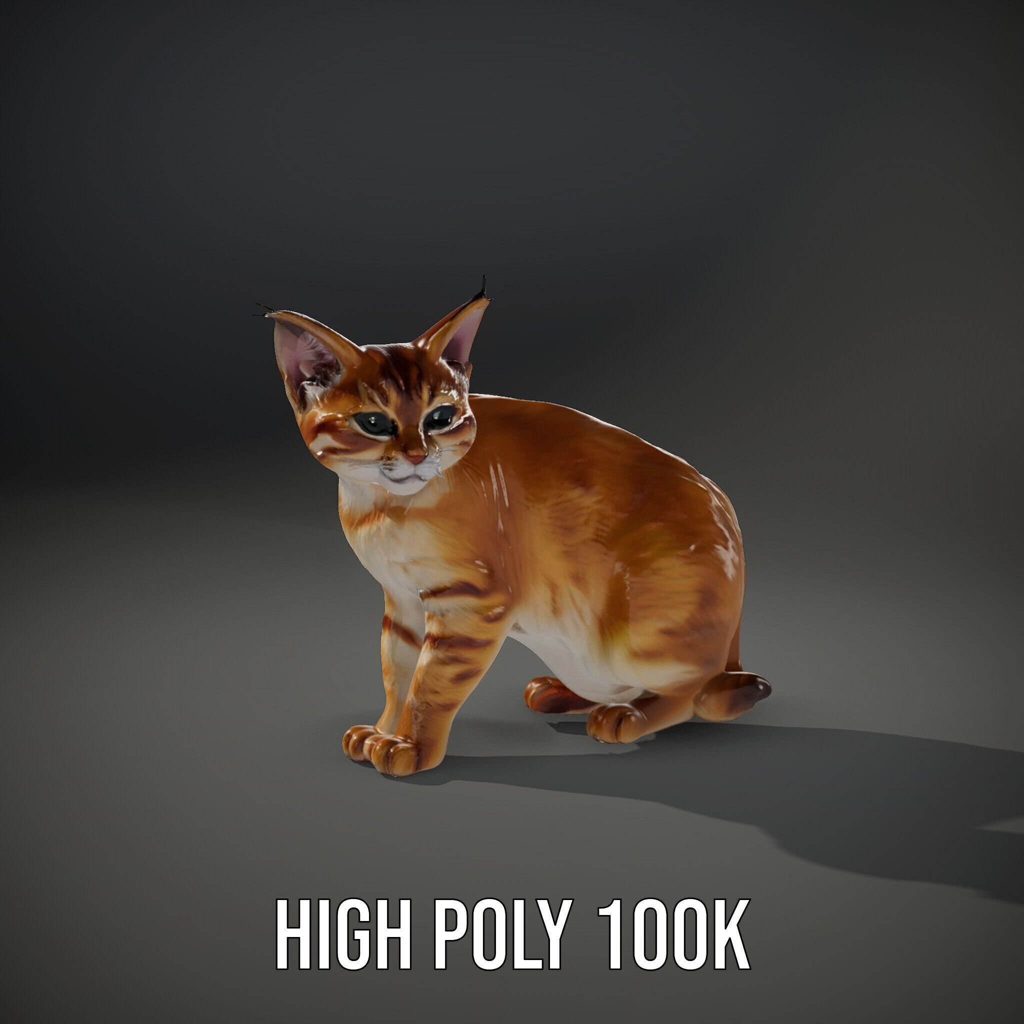 Stylized Cat Model Pack Low-poly 3D model_9