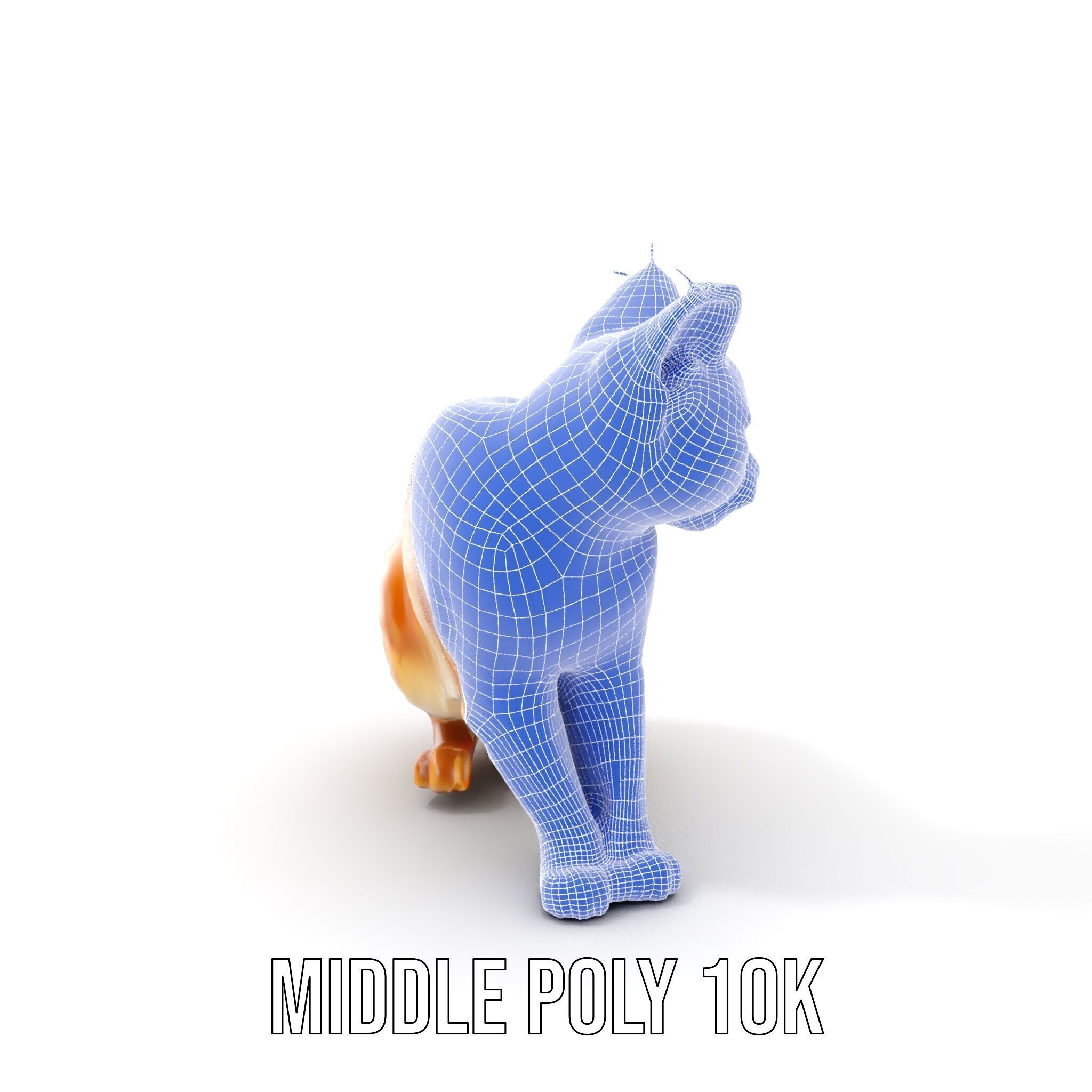 Stylized Cat Model Pack Low-poly 3D model_16