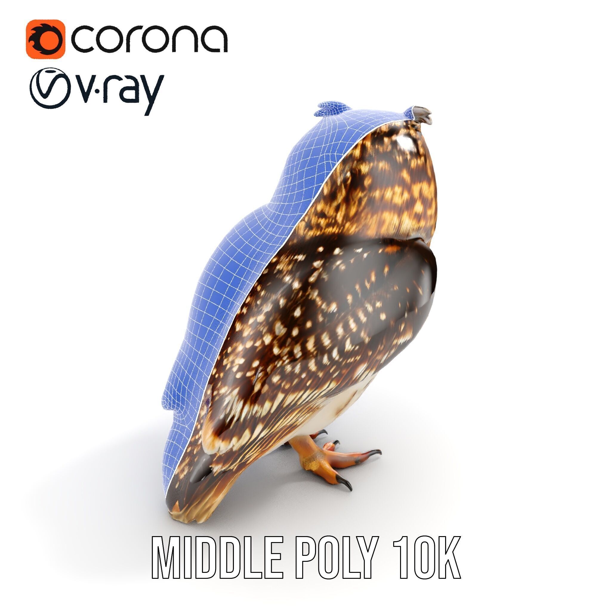 Owl Model Pack Detailed and Versatile Low-poly 3D model_18