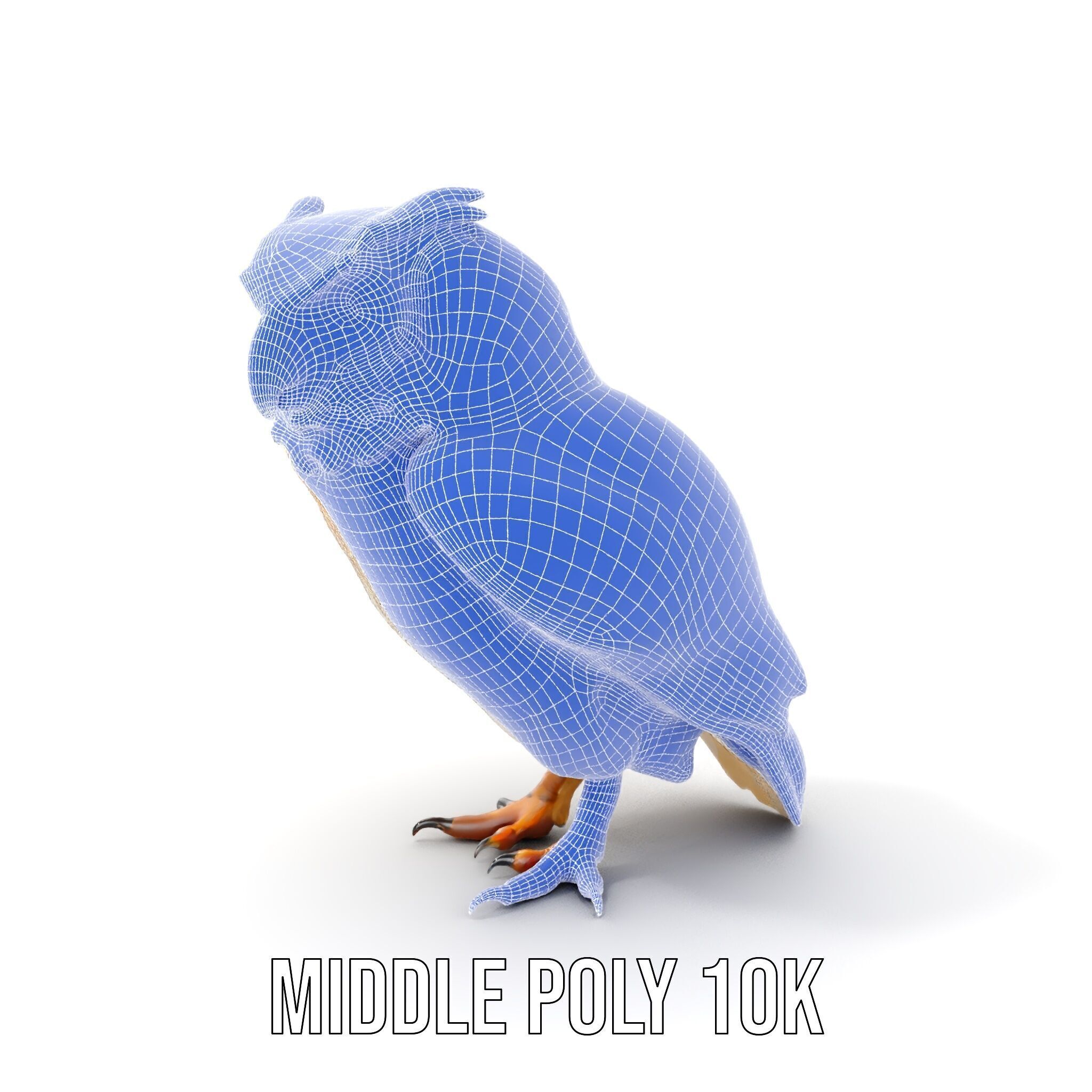 Owl Model Pack Detailed and Versatile Low-poly 3D model_16