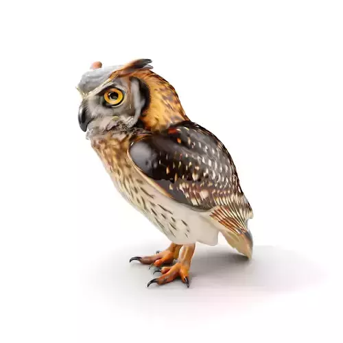 Owl Model Pack Detailed and Versatile Low-poly 3D model