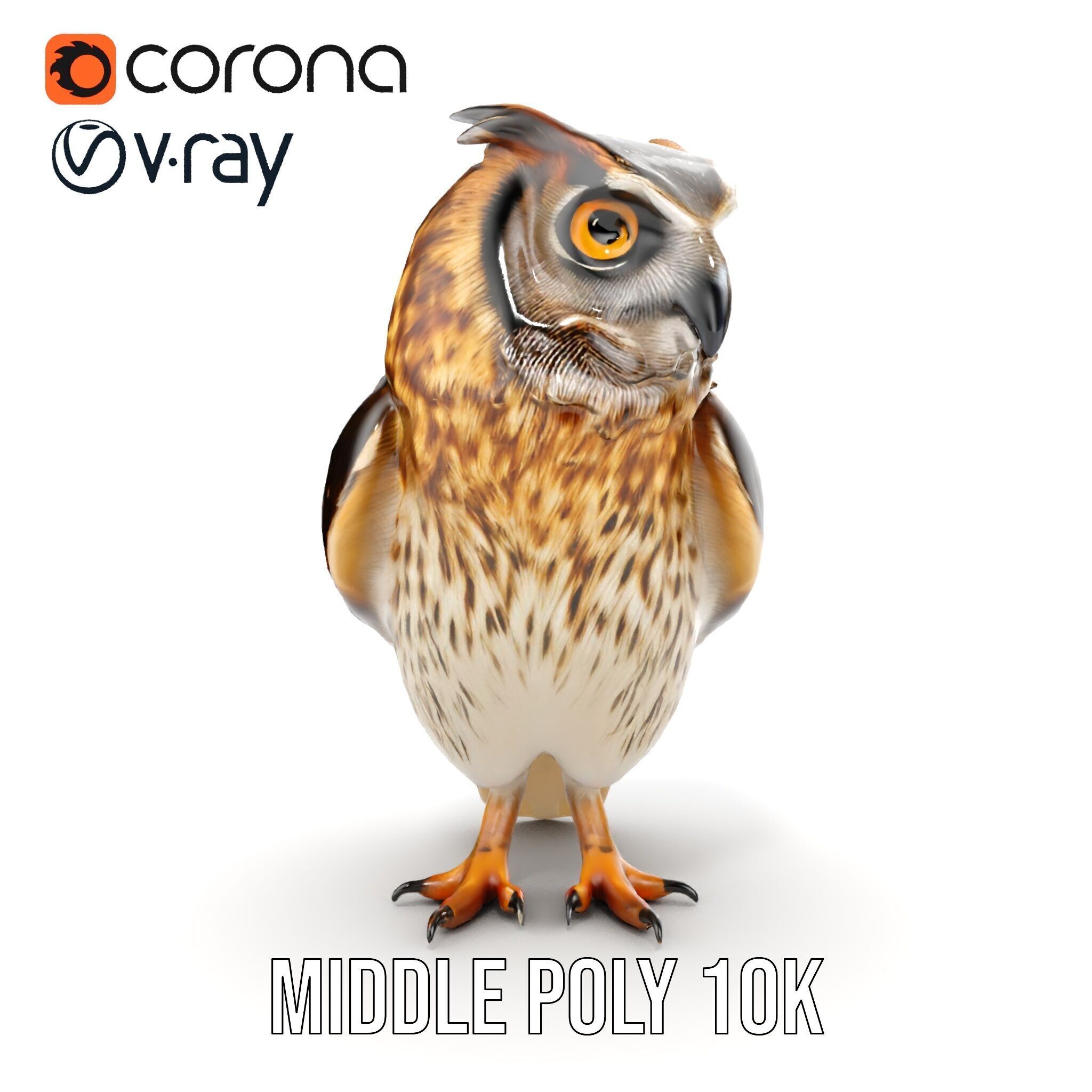 Owl Model Pack Detailed and Versatile Low-poly 3D model_13