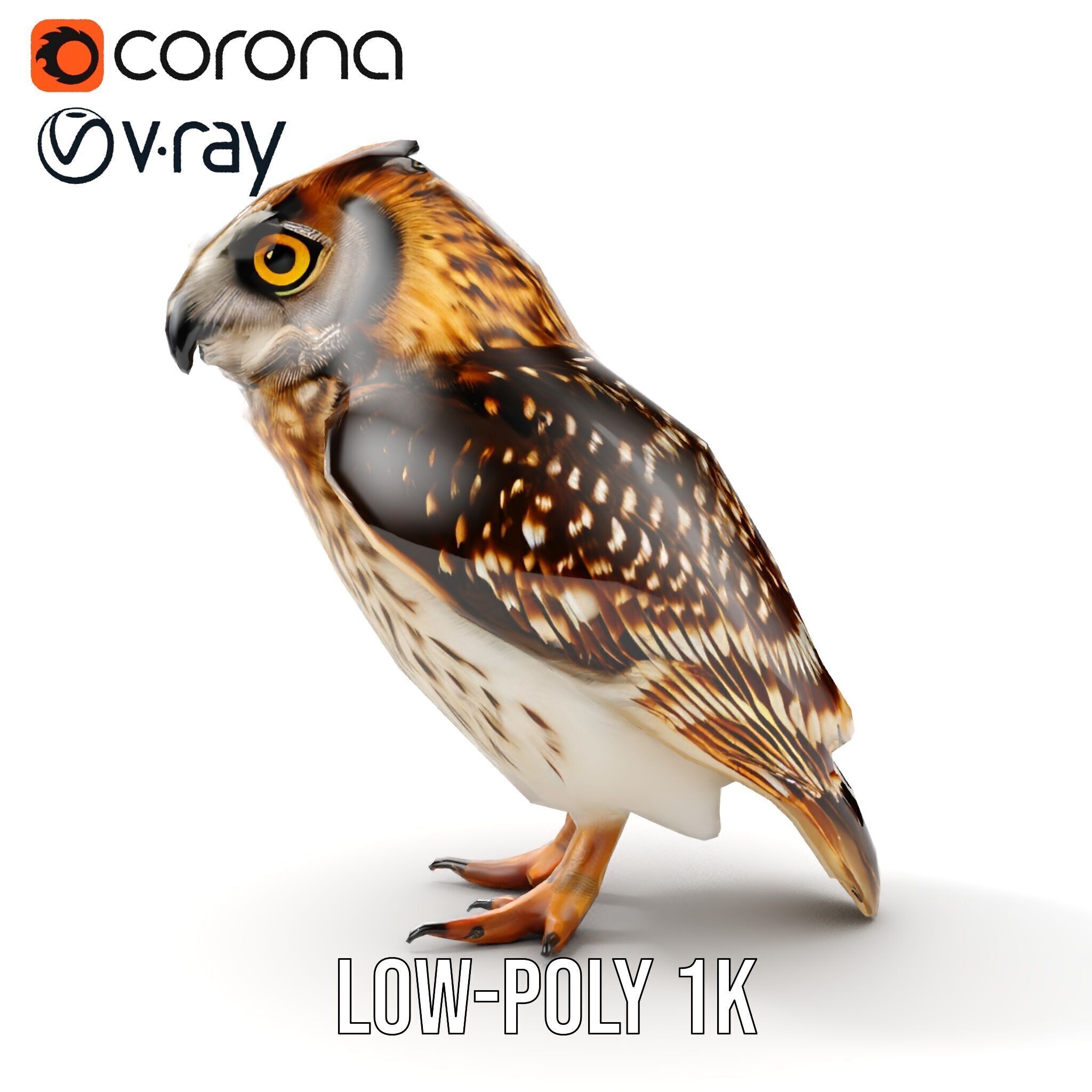 Owl Model Pack Detailed and Versatile Low-poly 3D model_14