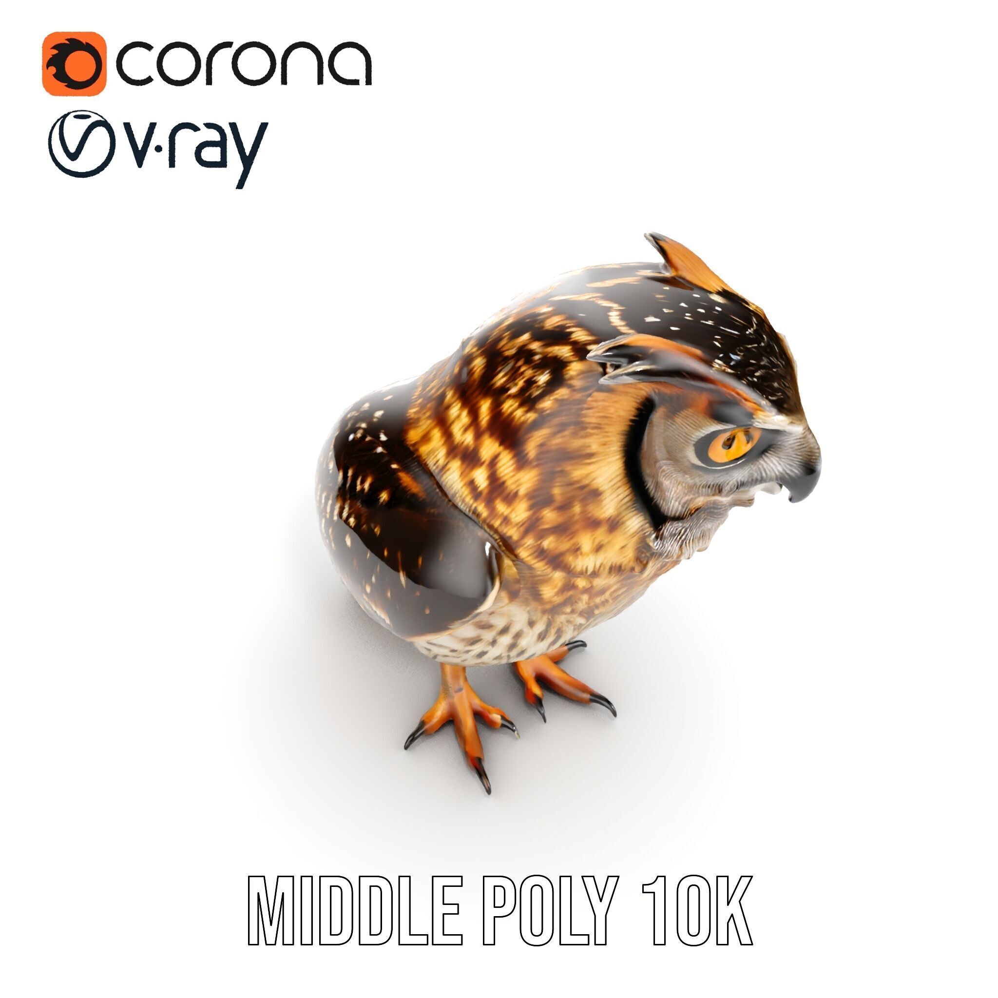 Owl Model Pack Detailed and Versatile Low-poly 3D model_20