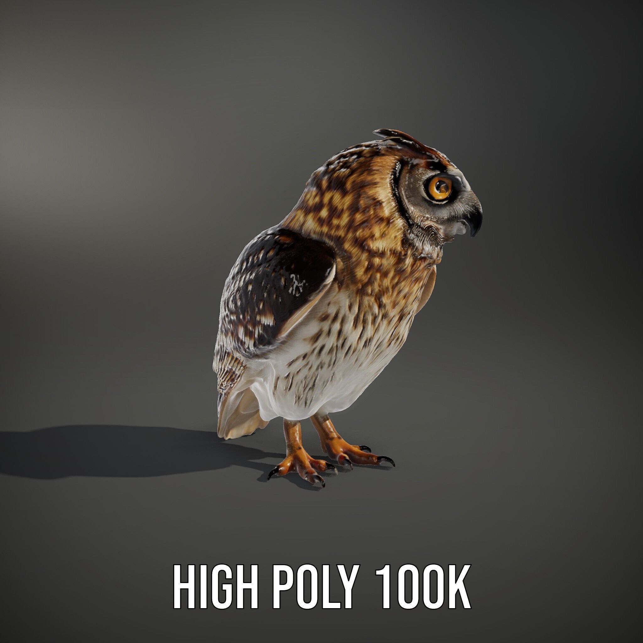 Owl Model Pack Detailed and Versatile Low-poly 3D model_12