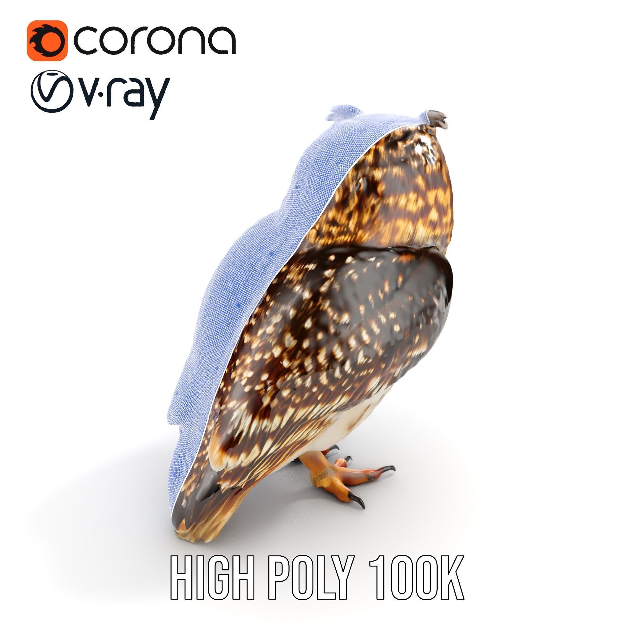 Owl Model Pack Detailed and Versatile Low-poly 3D model_22