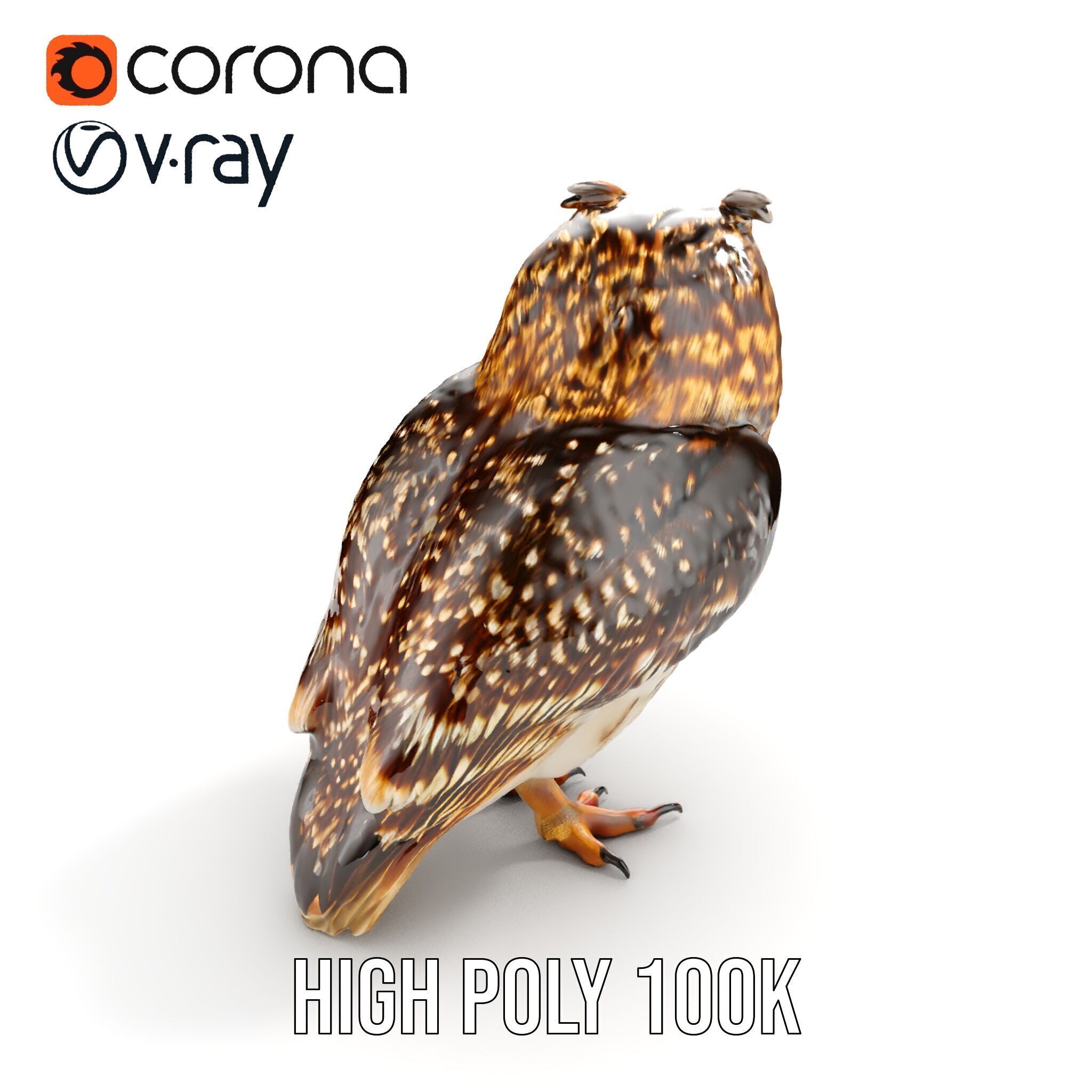 Owl Model Pack Detailed and Versatile Low-poly 3D model_28