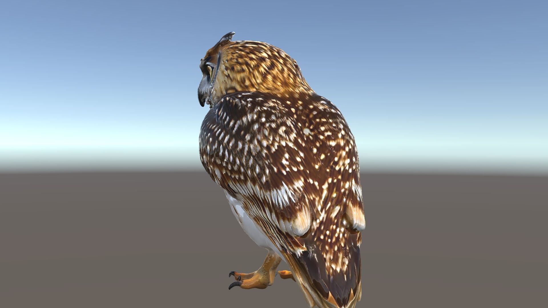 Owl Model Pack Detailed and Versatile Low-poly 3D model_6