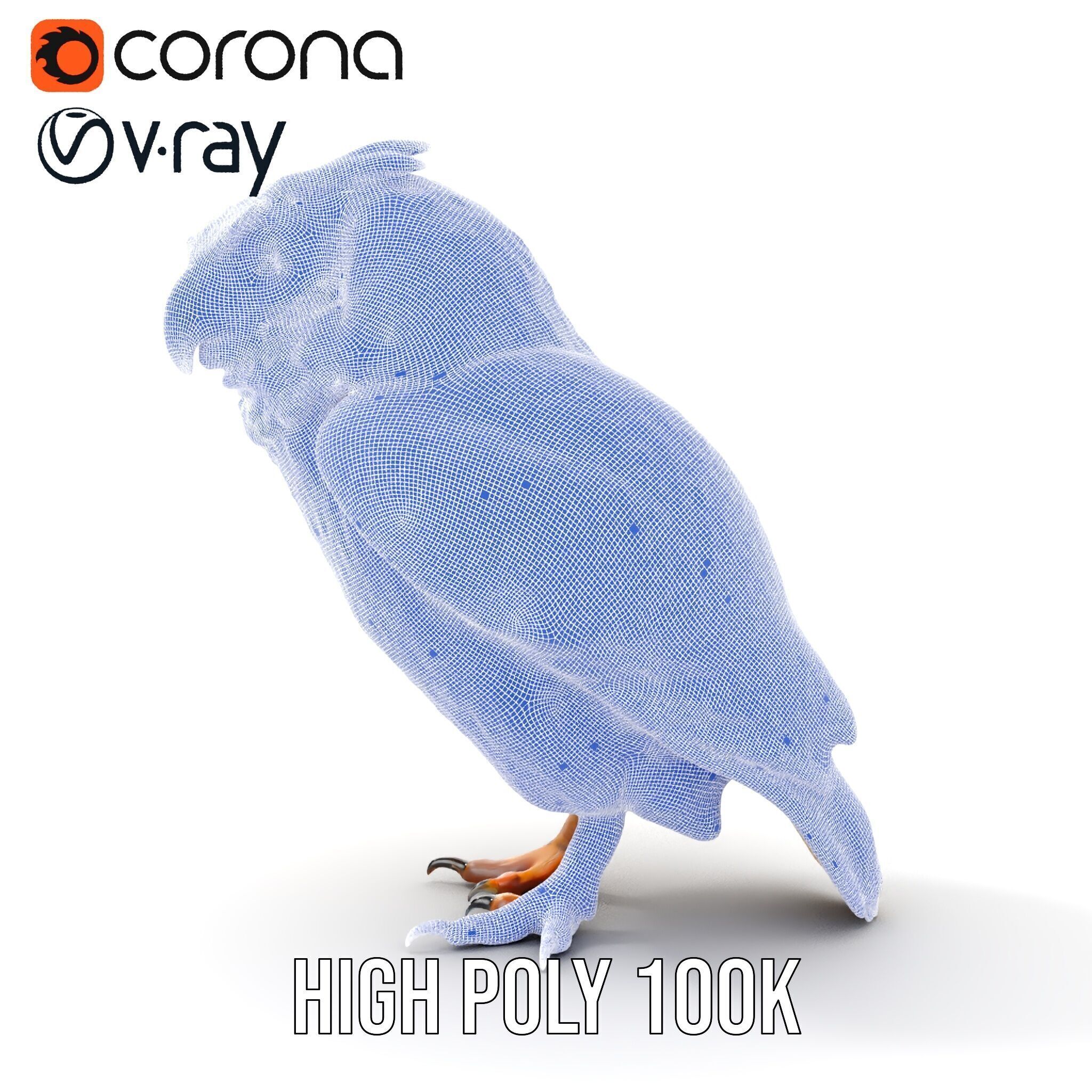 Owl Model Pack Detailed and Versatile Low-poly 3D model_38