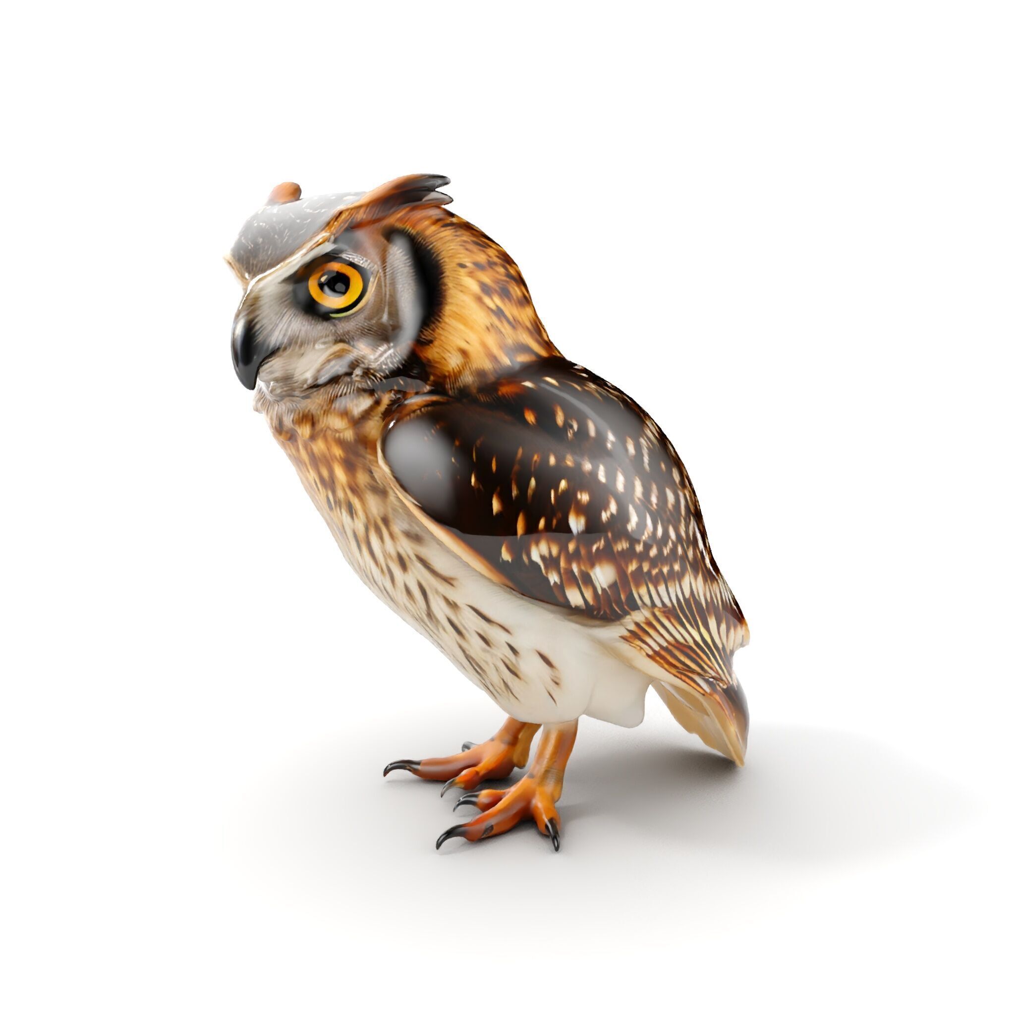 Owl Model Pack Detailed and Versatile Low-poly 3D model_23