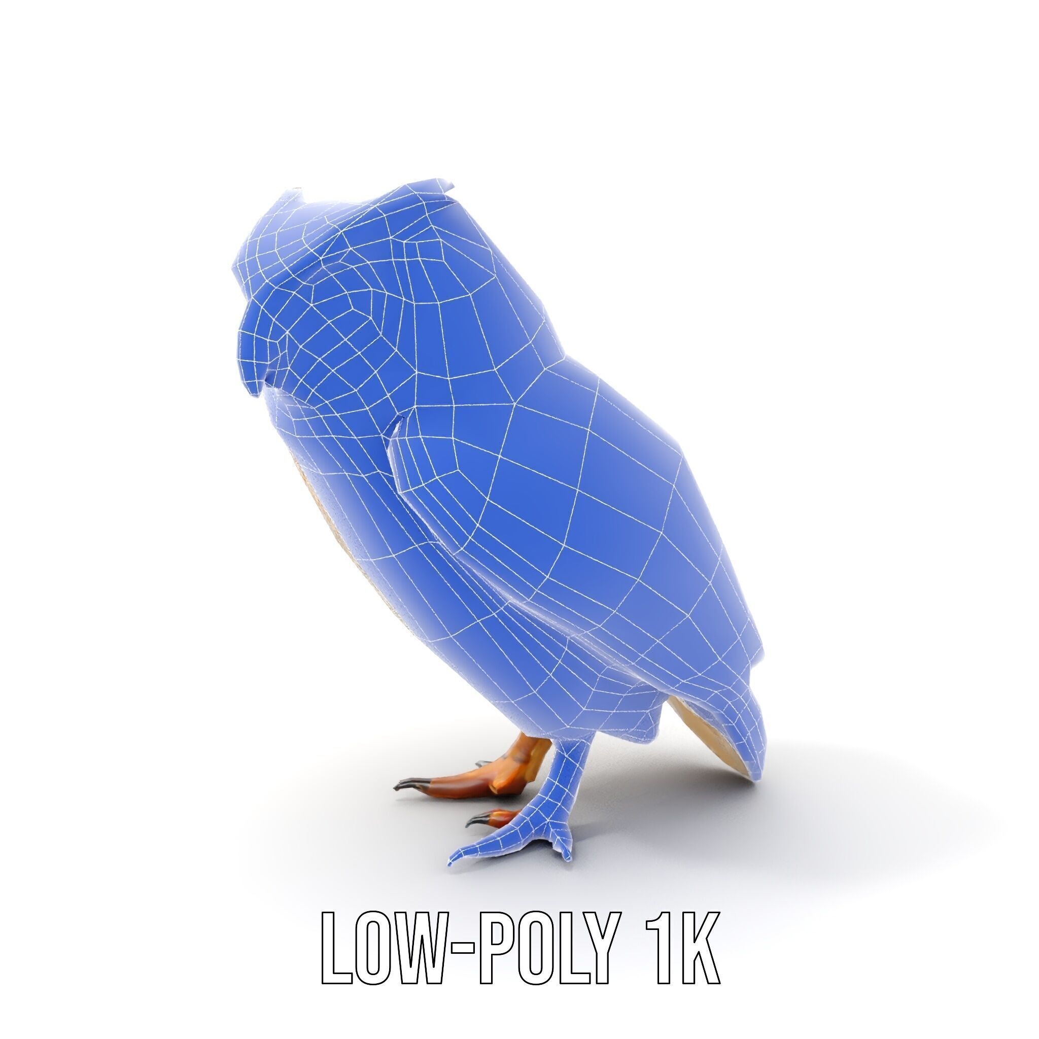 Owl Model Pack Detailed and Versatile Low-poly 3D model_24