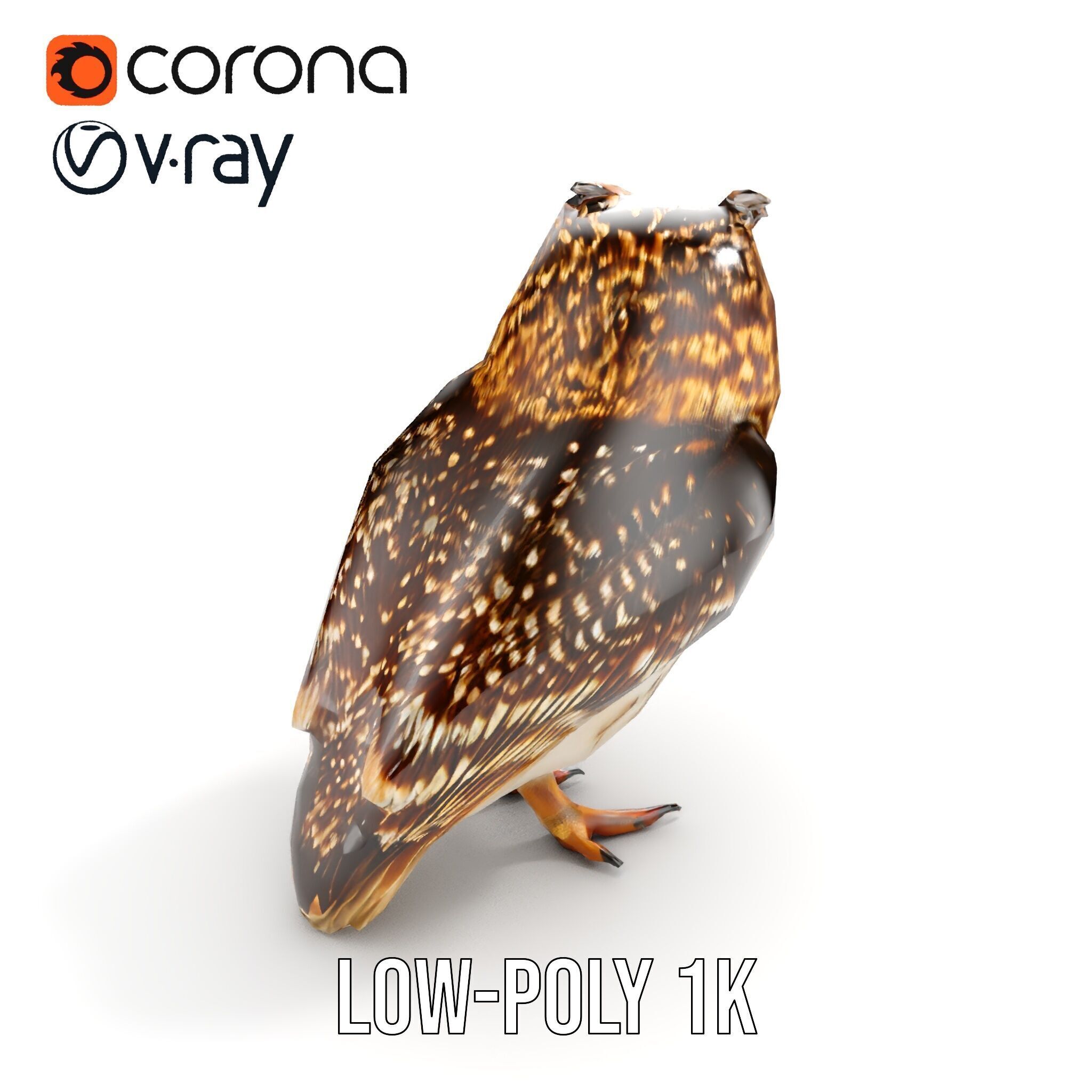 Owl Model Pack Detailed and Versatile Low-poly 3D model_8