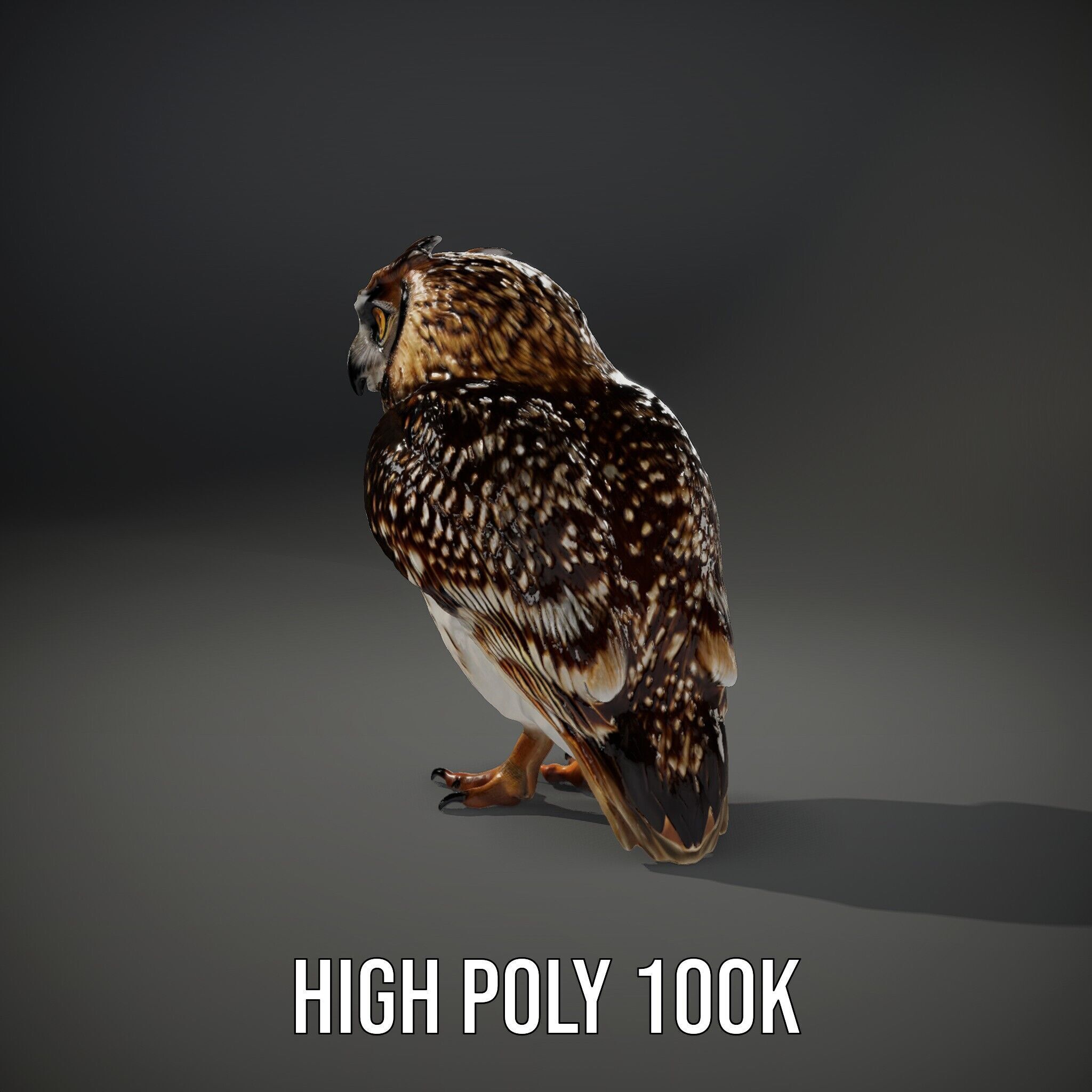 Owl Model Pack Detailed and Versatile Low-poly 3D model_15