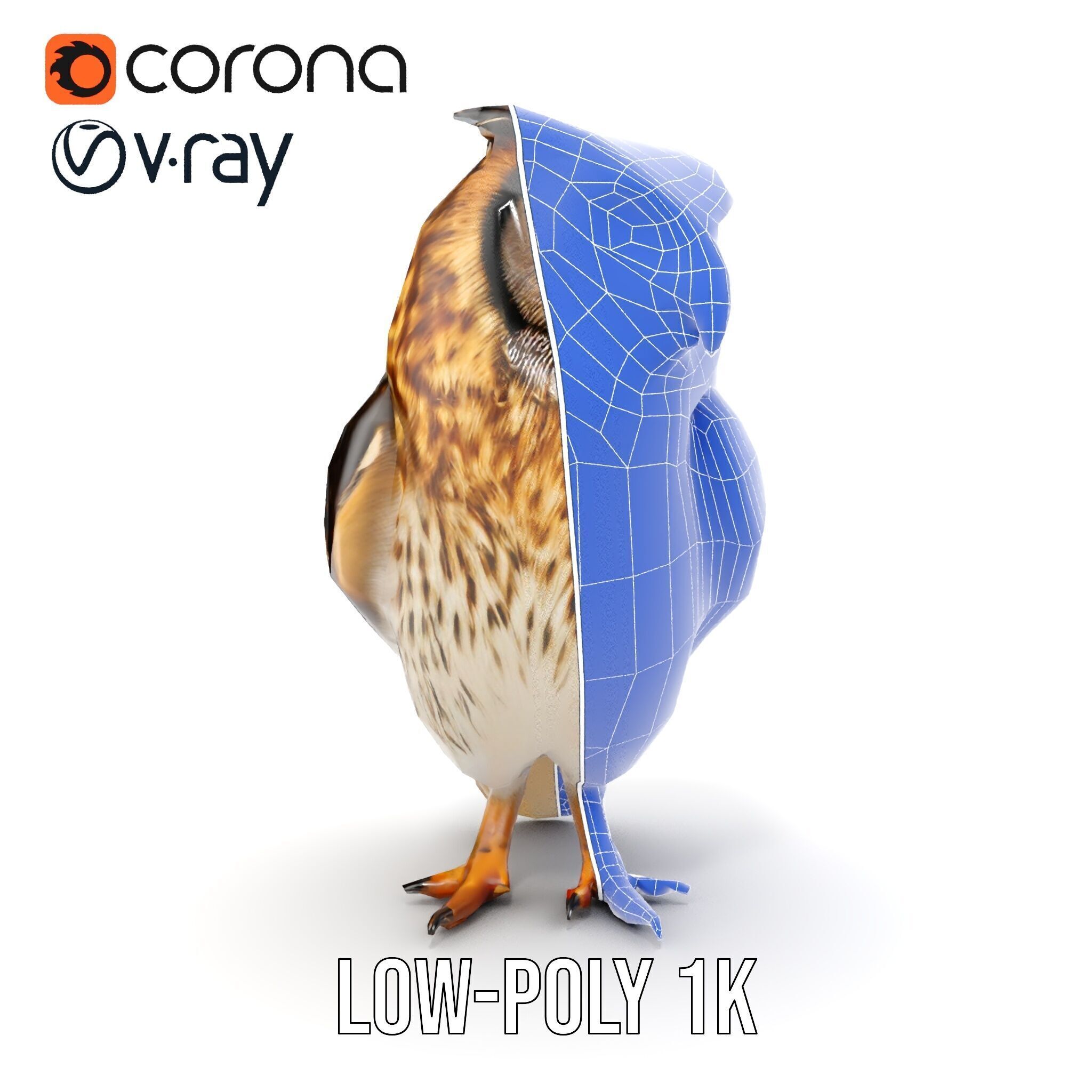 Owl Model Pack Detailed and Versatile Low-poly 3D model_30